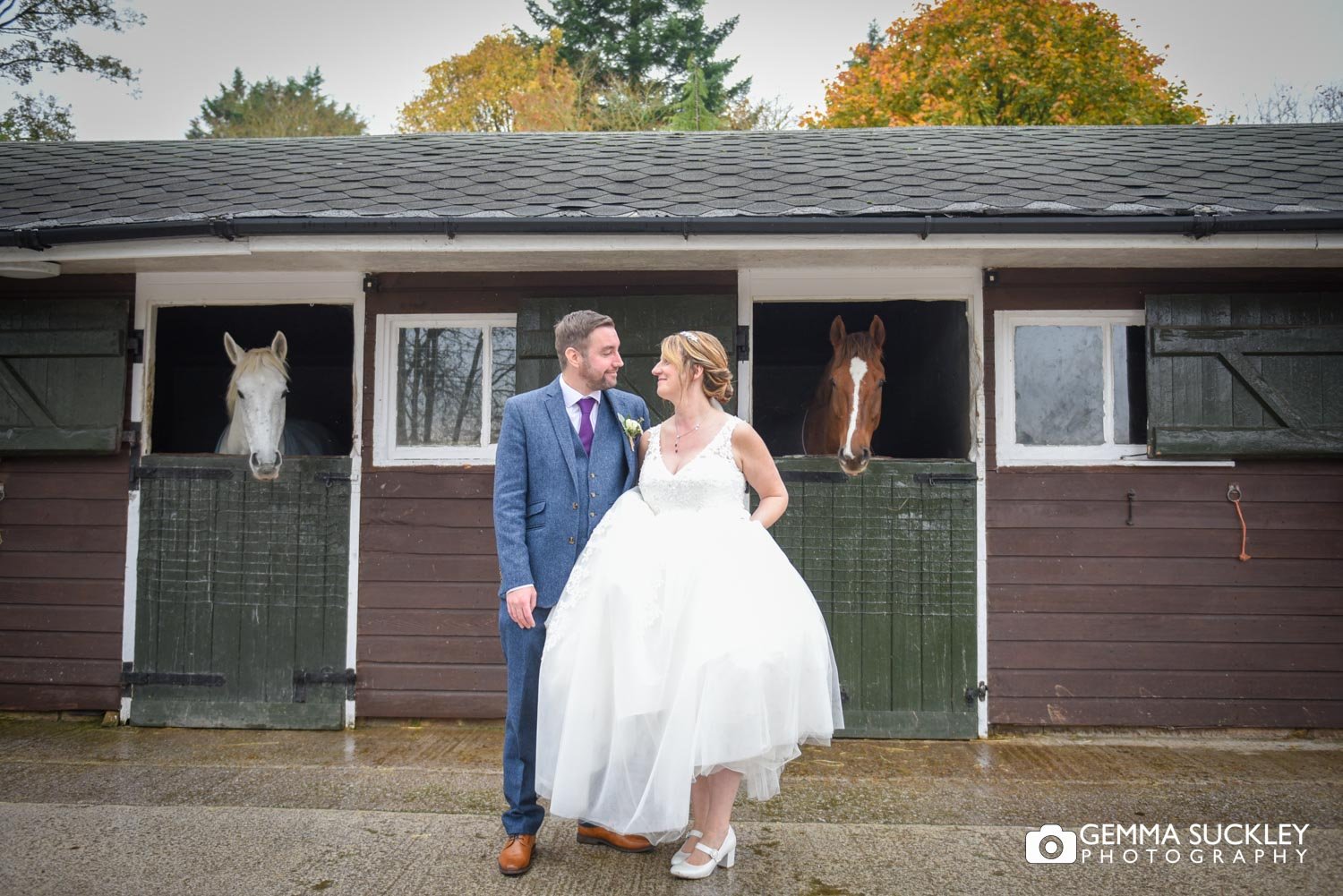bride and groom at coniston hotel with horses being them