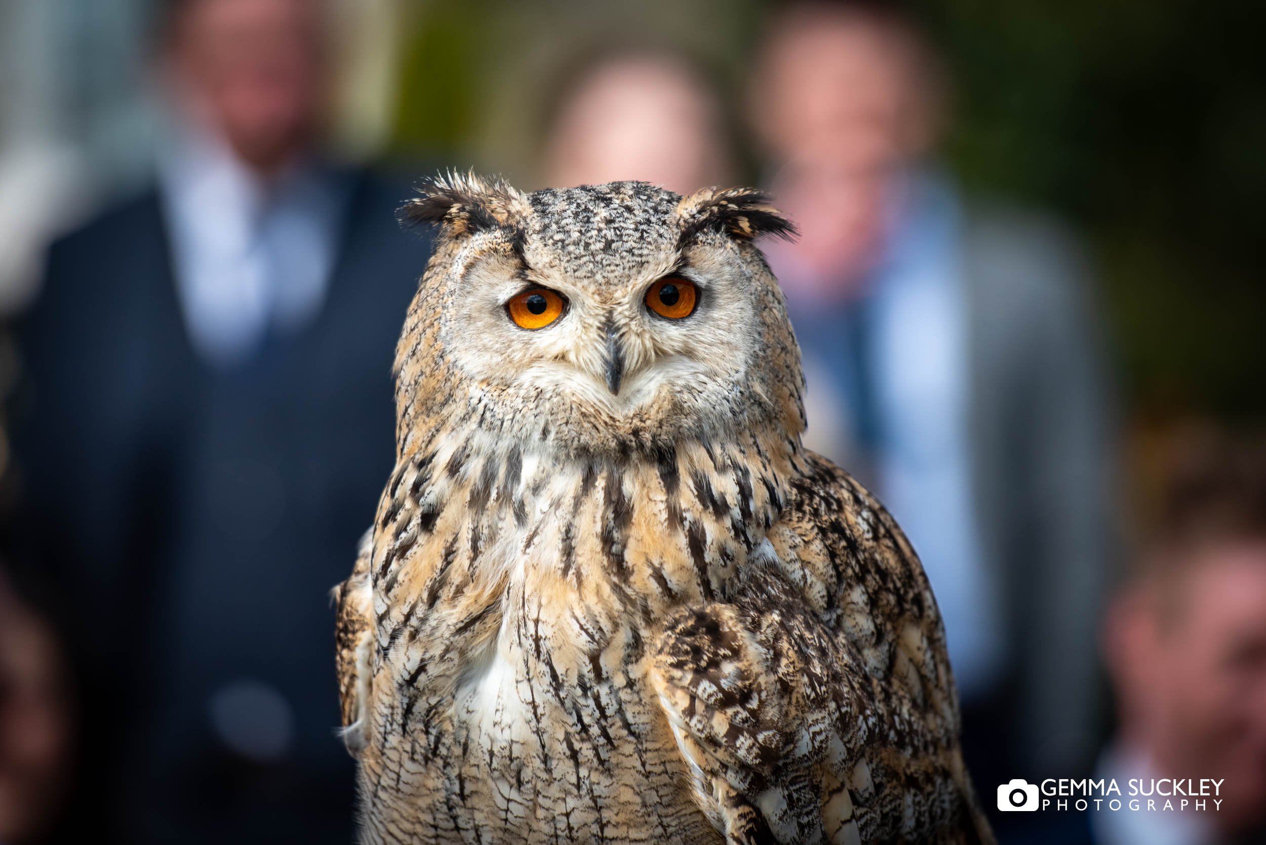 falcon-manor-wedding-photography-57.jpg