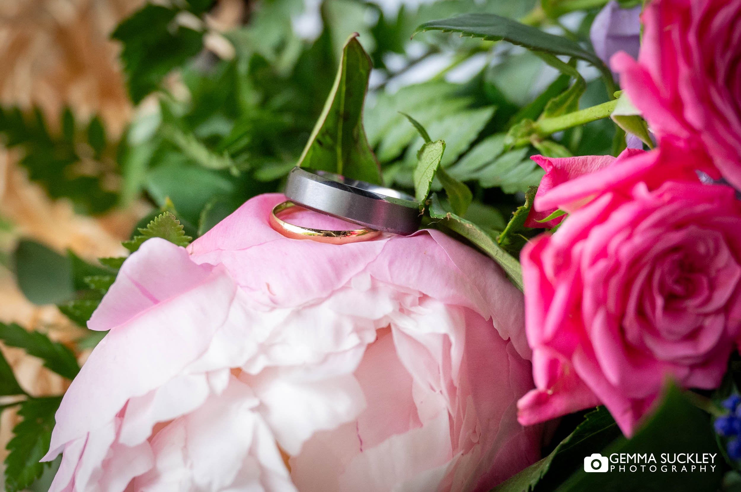wedding rings placed on a rose