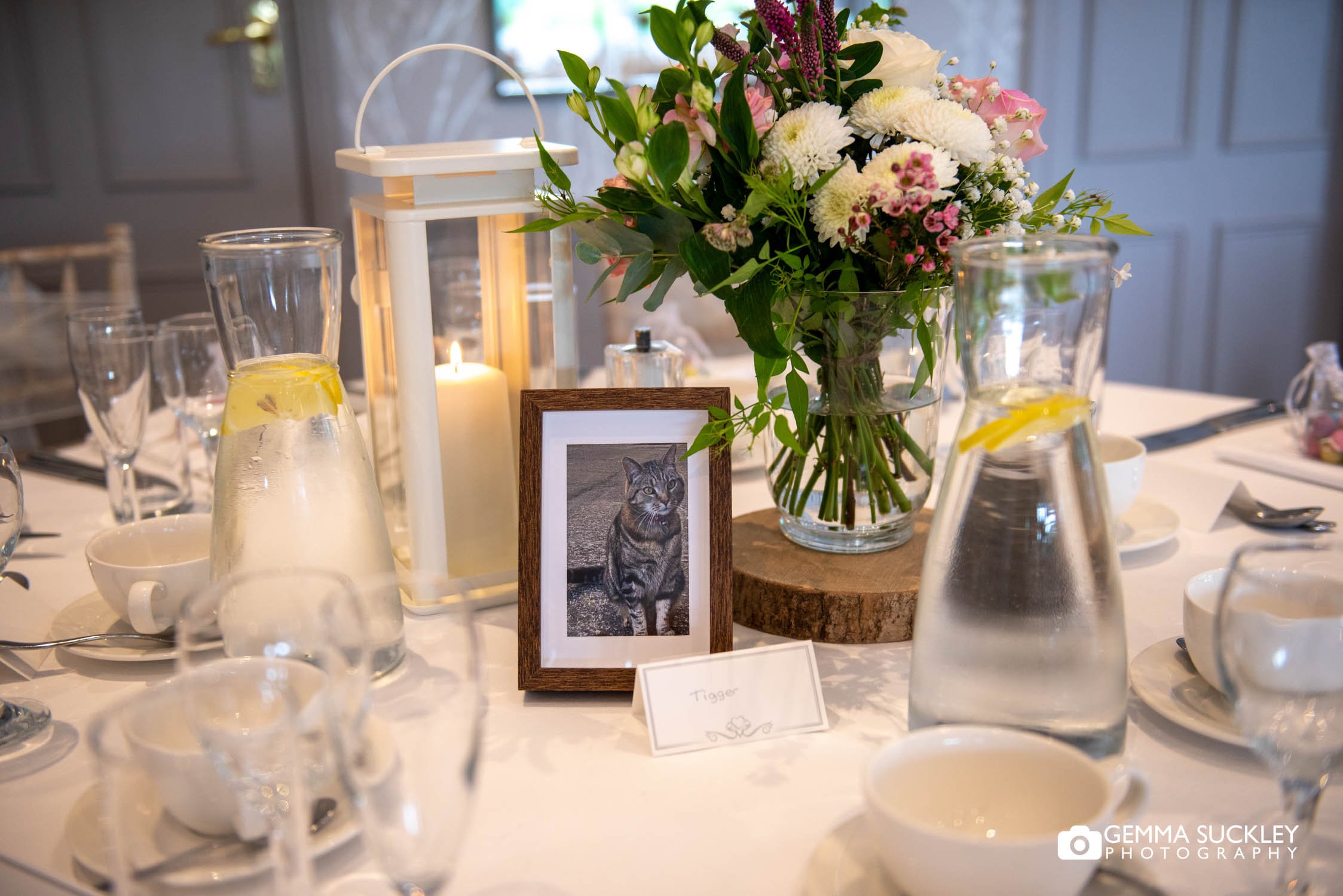 photo of the bride and groom cat on the wedding table