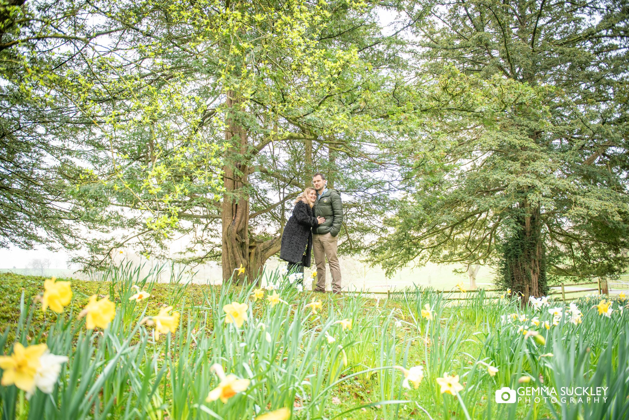 engaged couple in the daffodils
