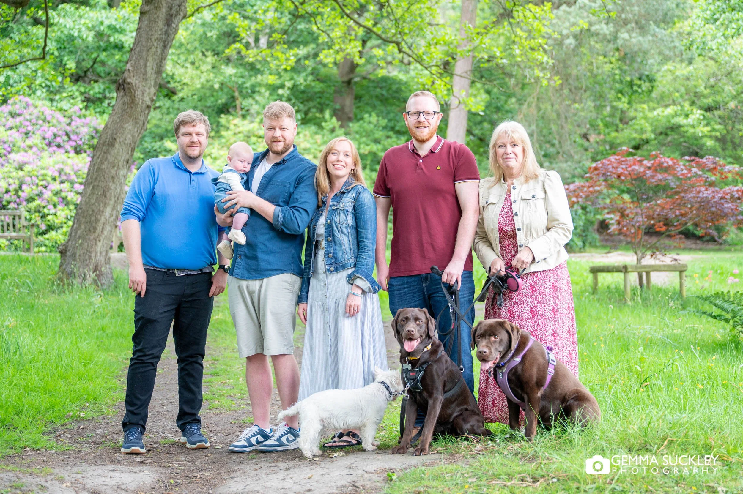 family and dogs posing for a photo 