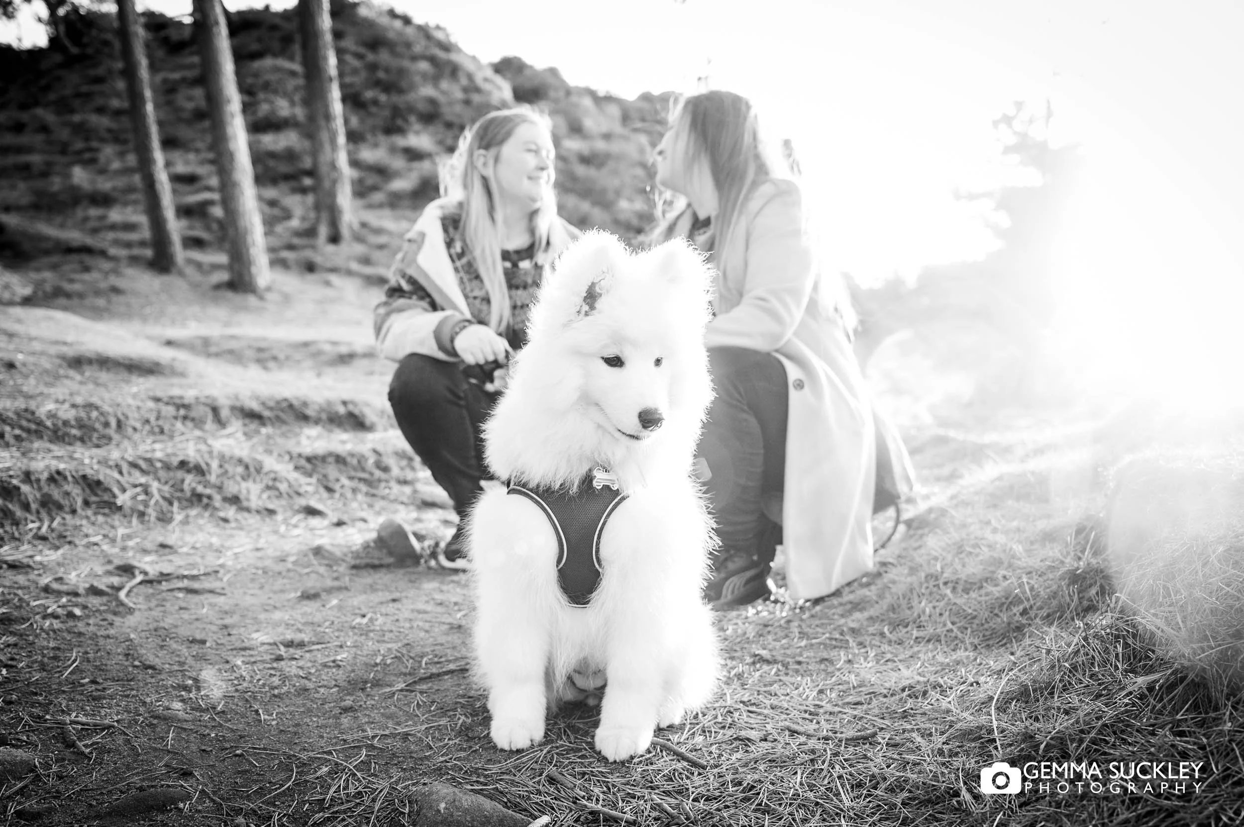 Golden hour portrait of a couple and their puppy on Ilkley Moor
