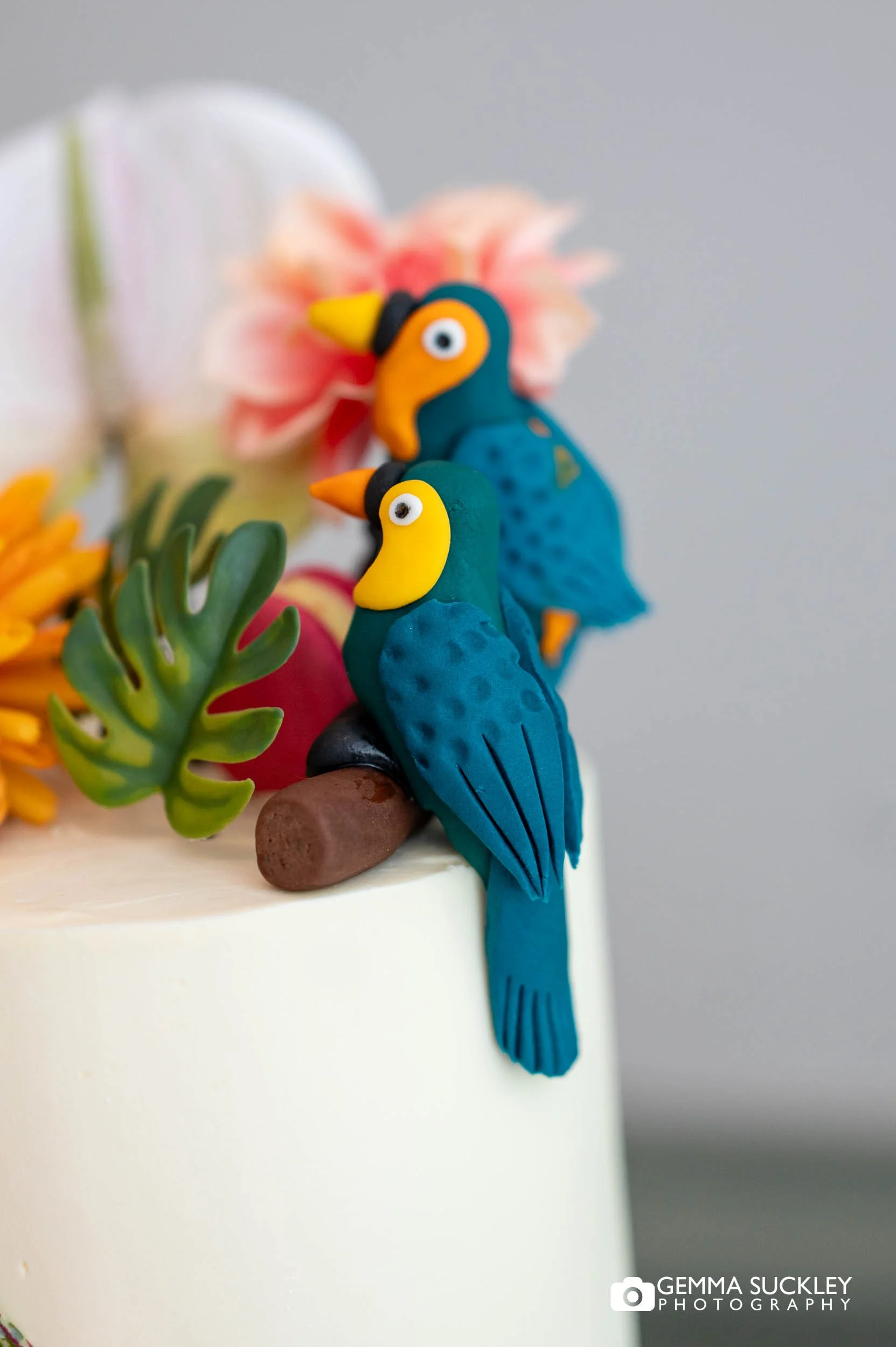 Macaw cake toppers