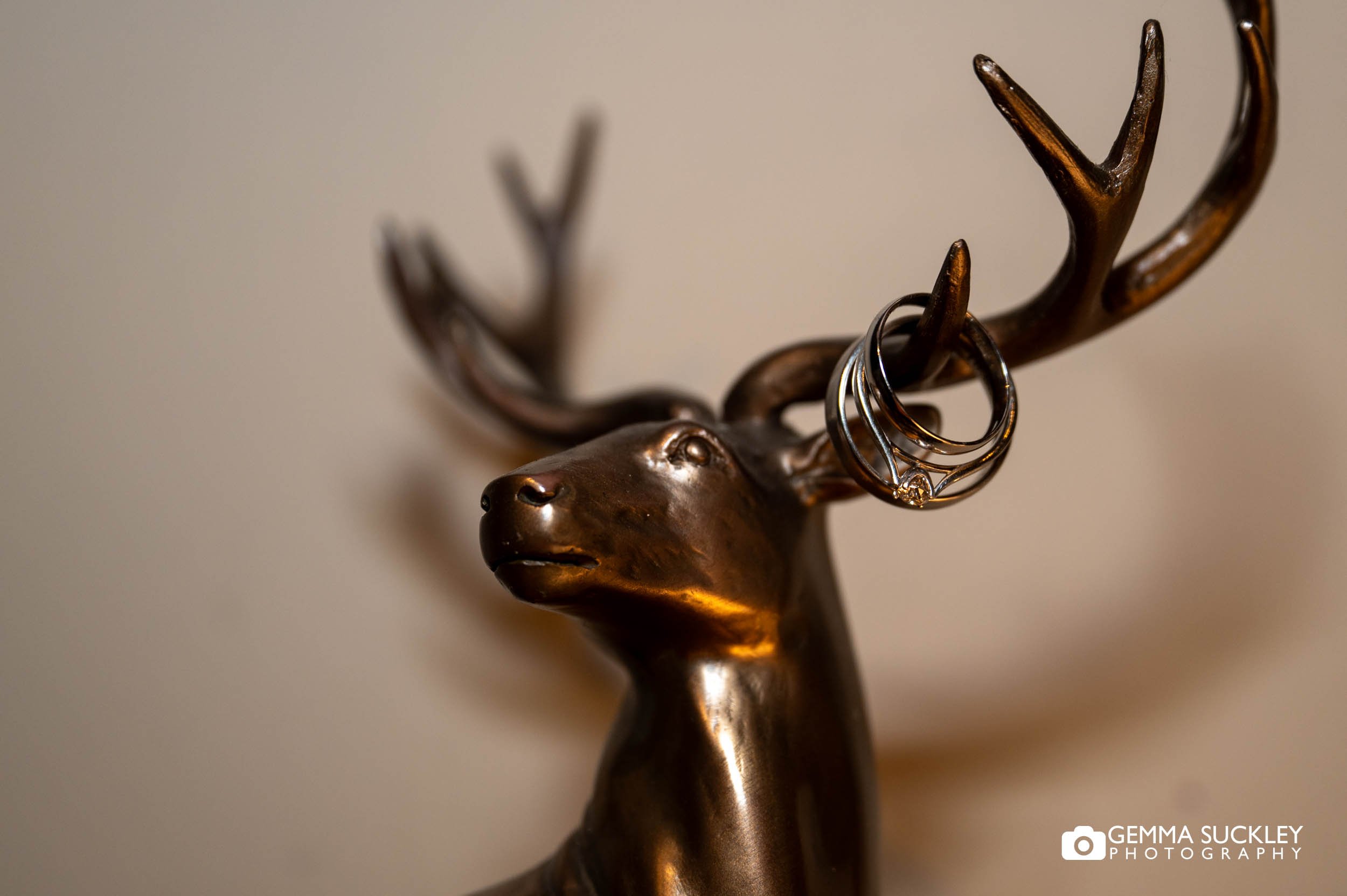 wedding rings on a stag statue
