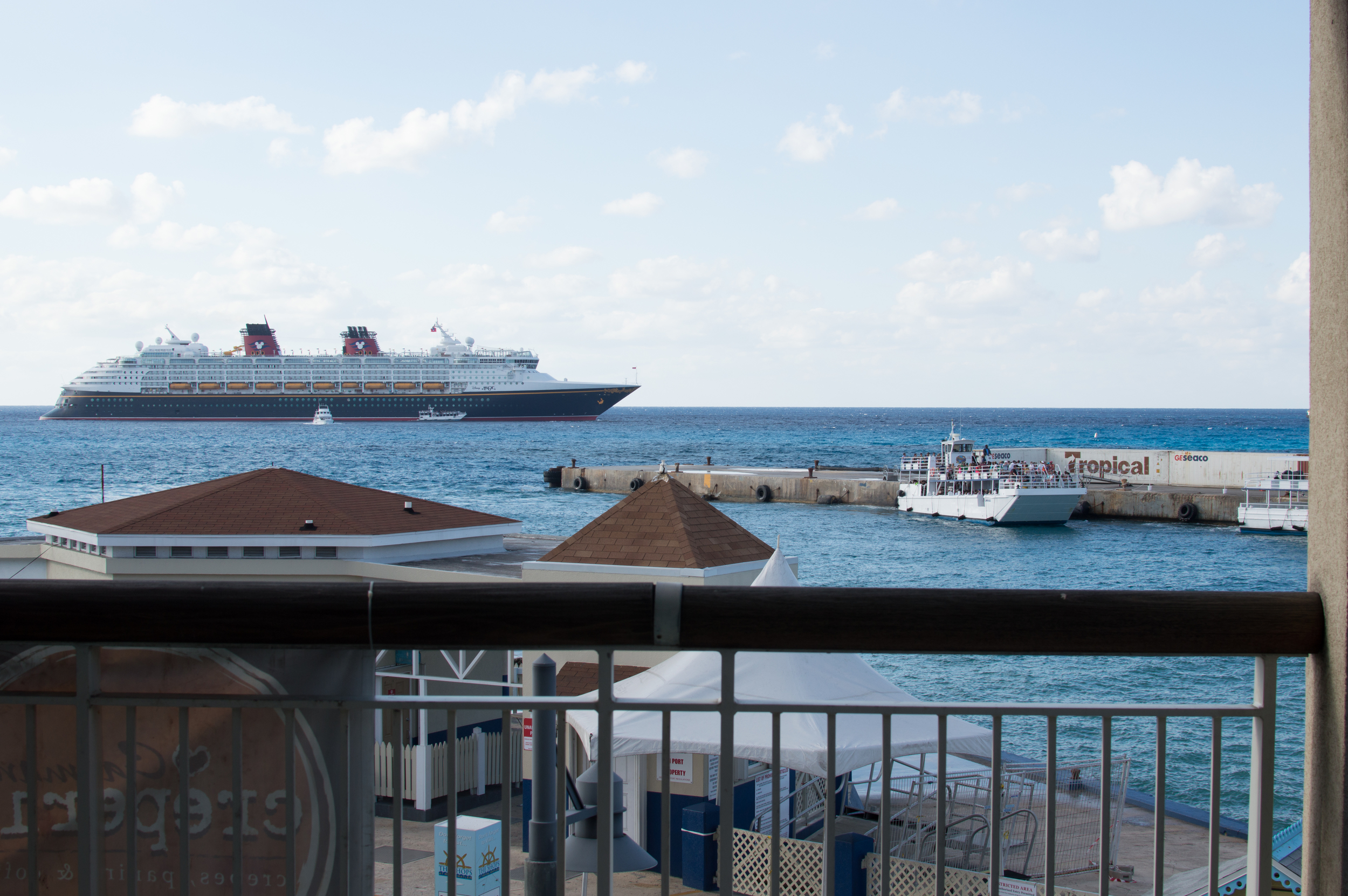 Cayman week 2 (25 of 69).jpg