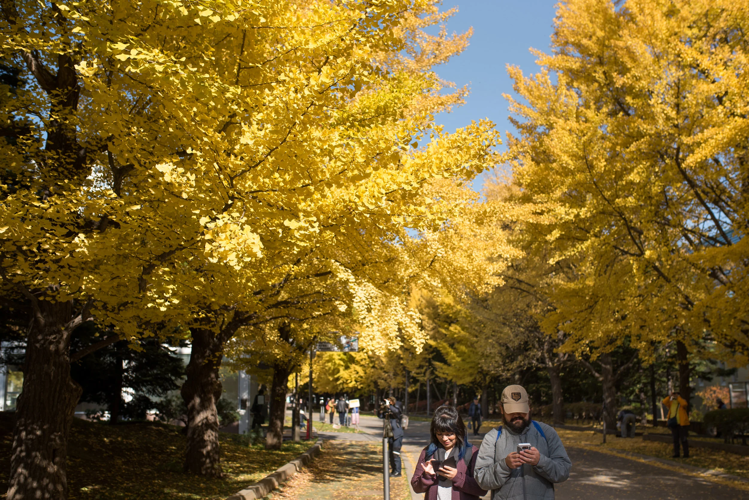 Sapporo Day 1-7937.jpg