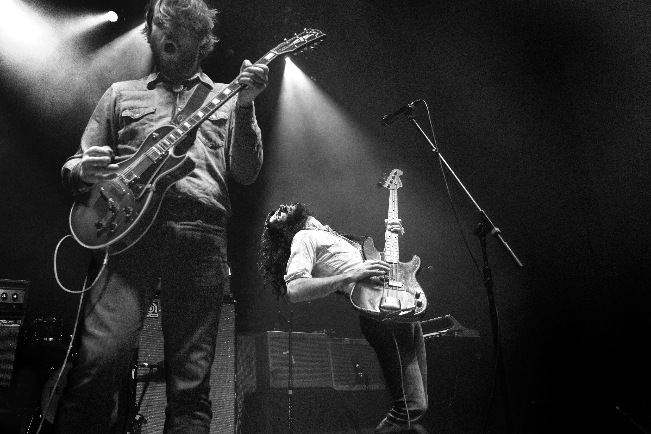 THE SHEEPDOGS
