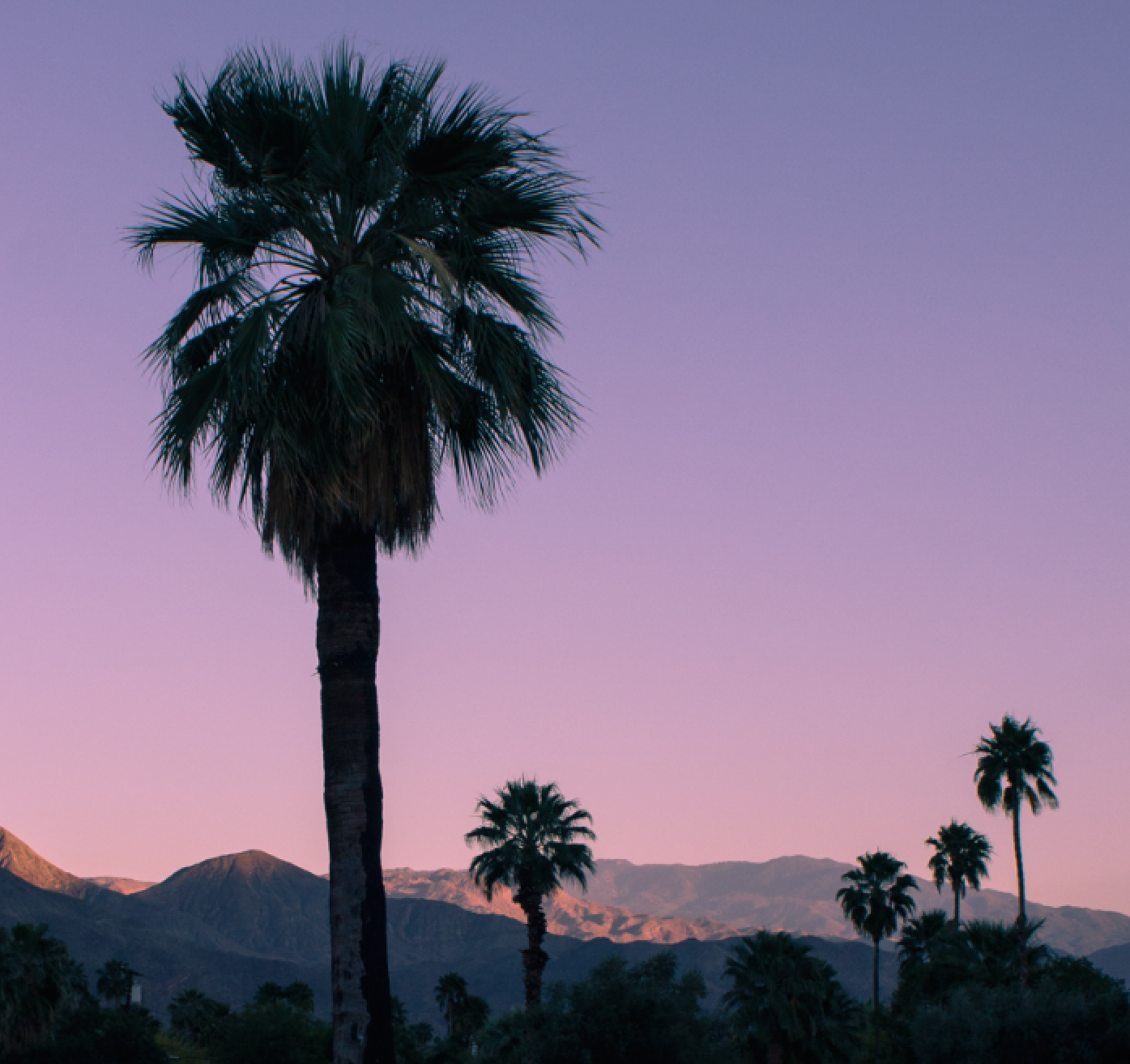 PALM SPRINGS