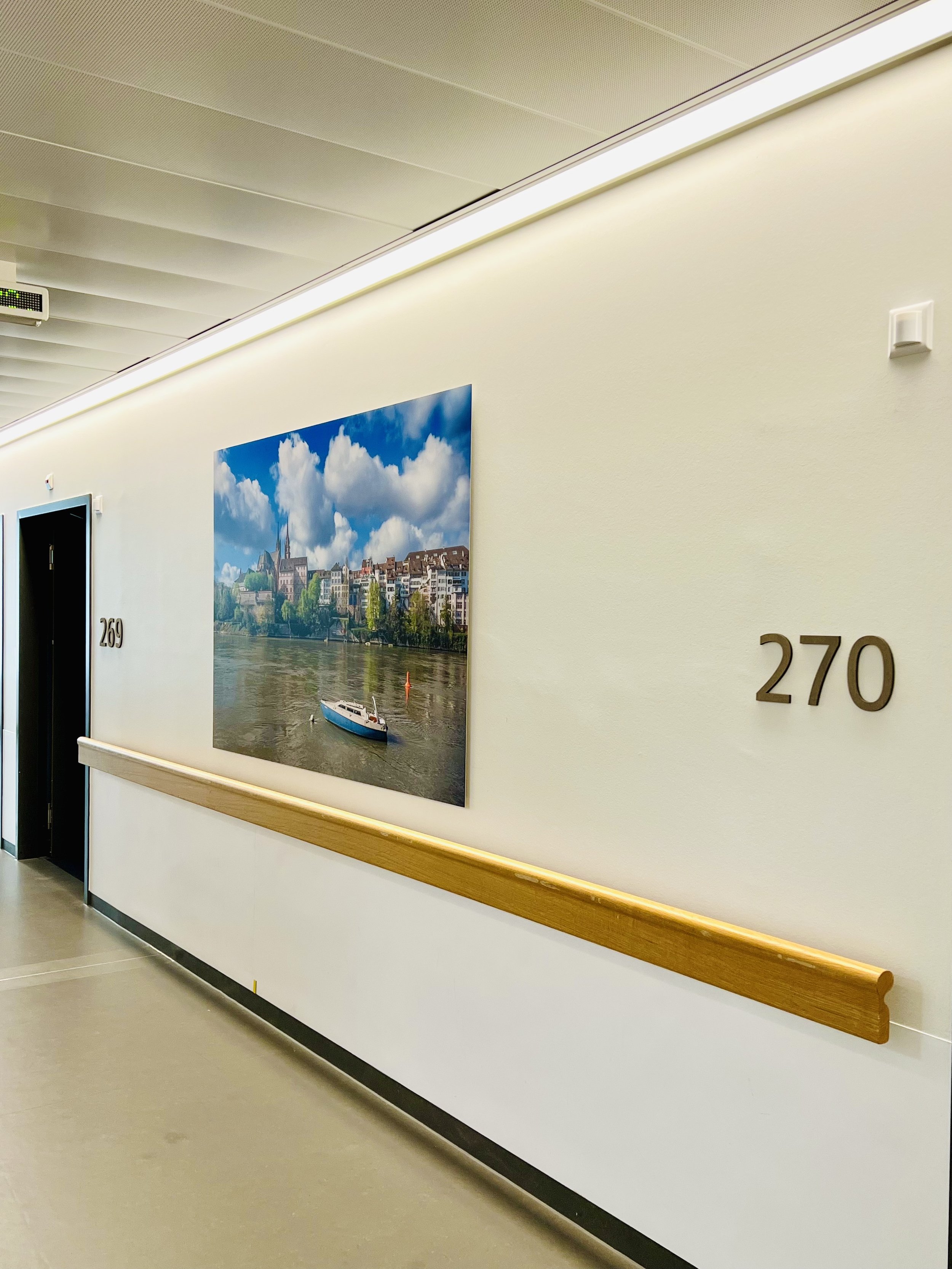  images on the hallways walls in Felix Platter Hospital in Basel (Copy)