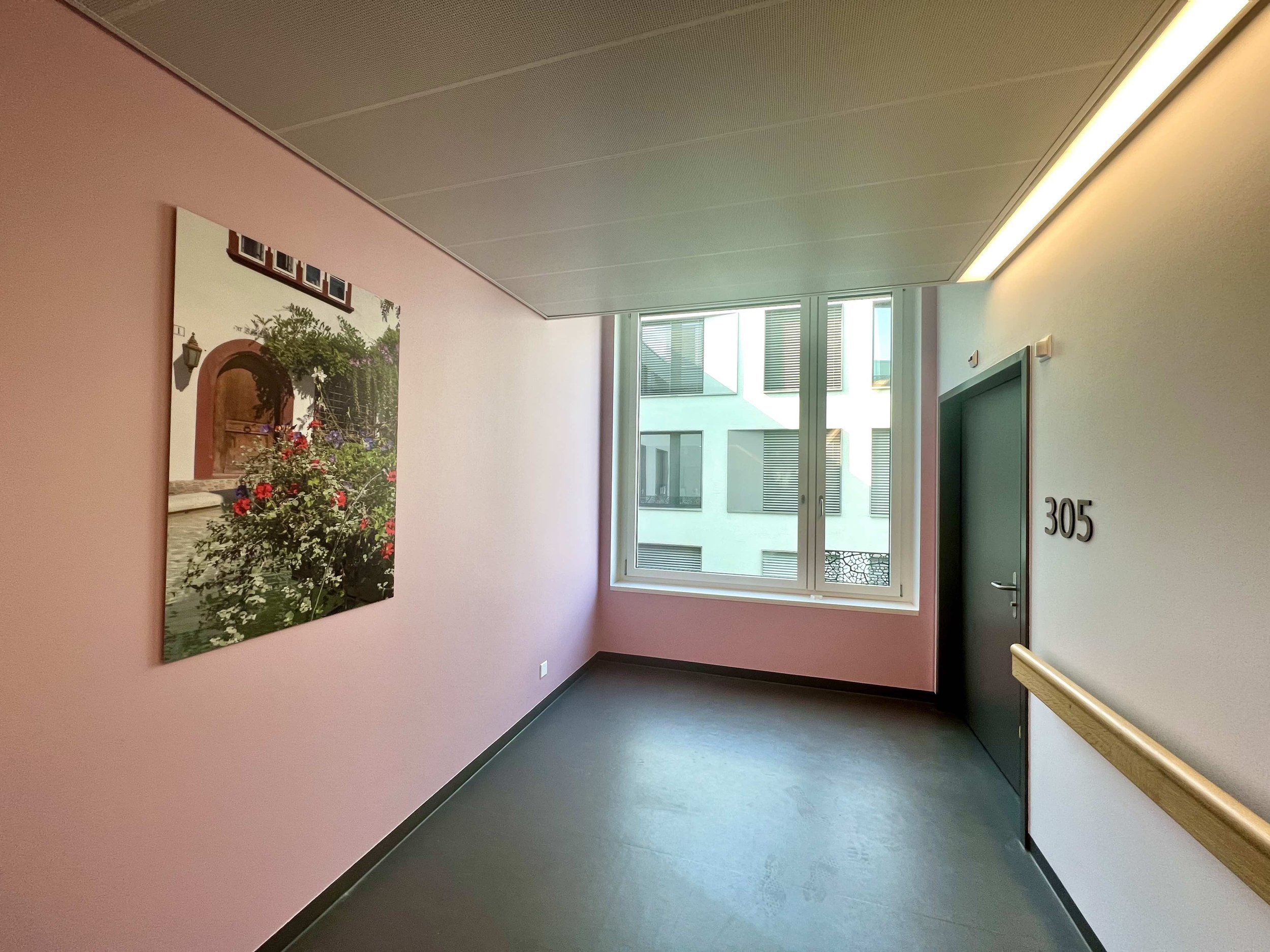  images on the hallways walls in Felix Platter Hospital in Basel