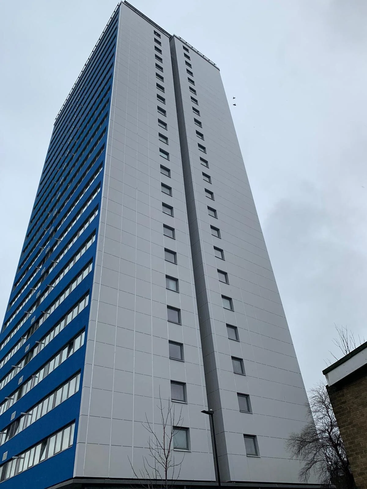 WhatsApp Image 2020-09-01 at 13.23.16.jpeg