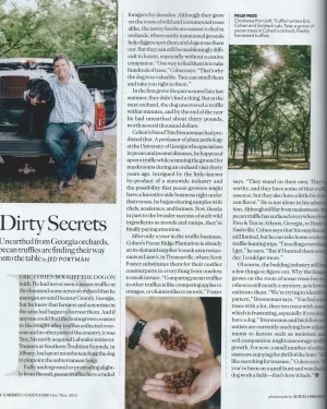 G&G Article.jpg