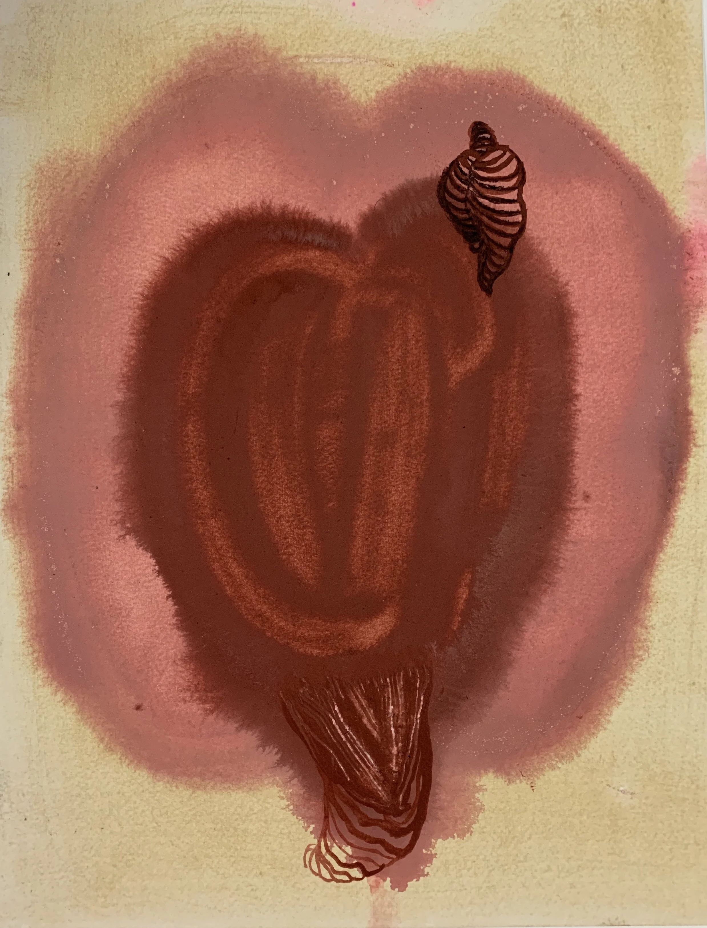 Diosa de sangre caracol (Conch blood goddess)
