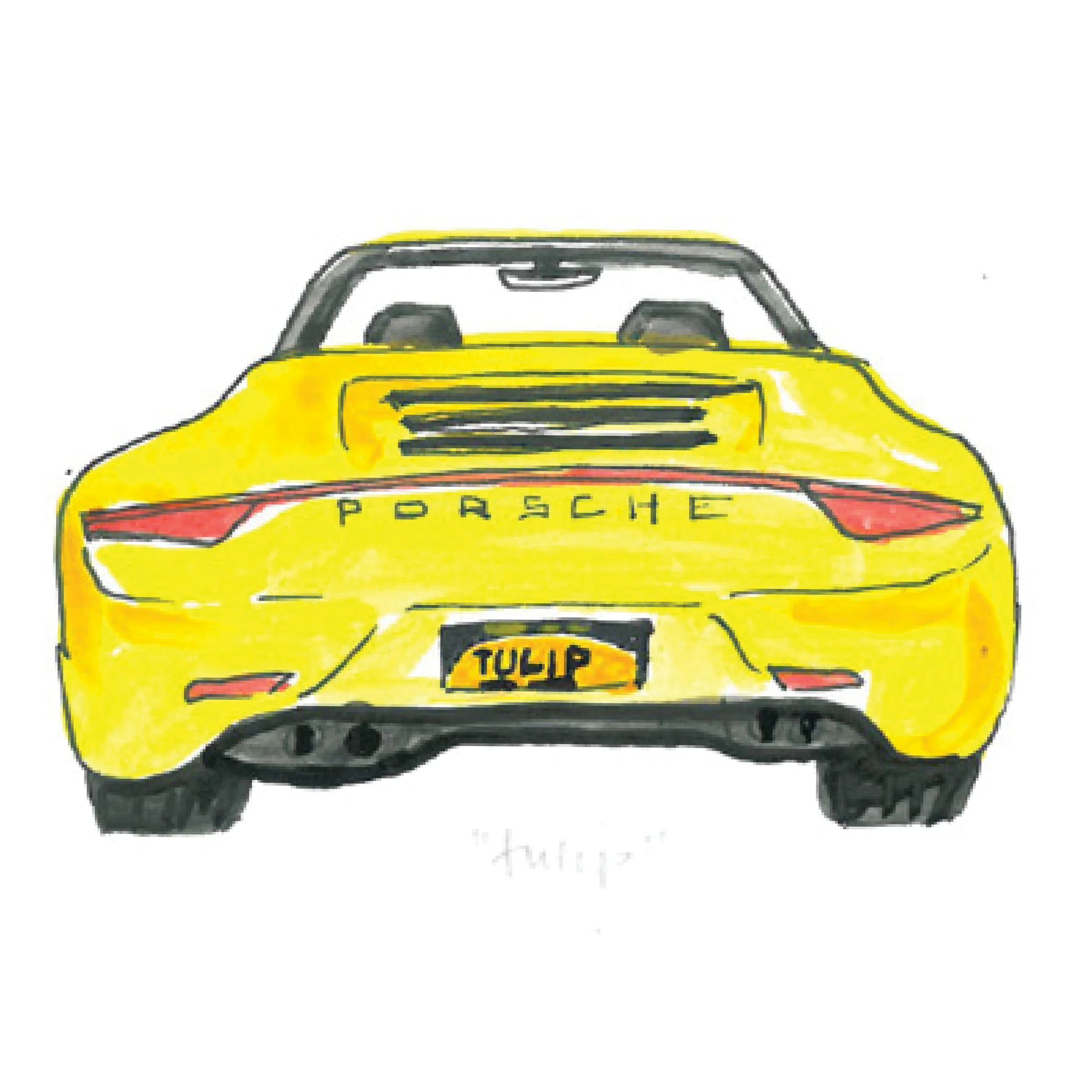 DAFY17WebCloseUps.jpg