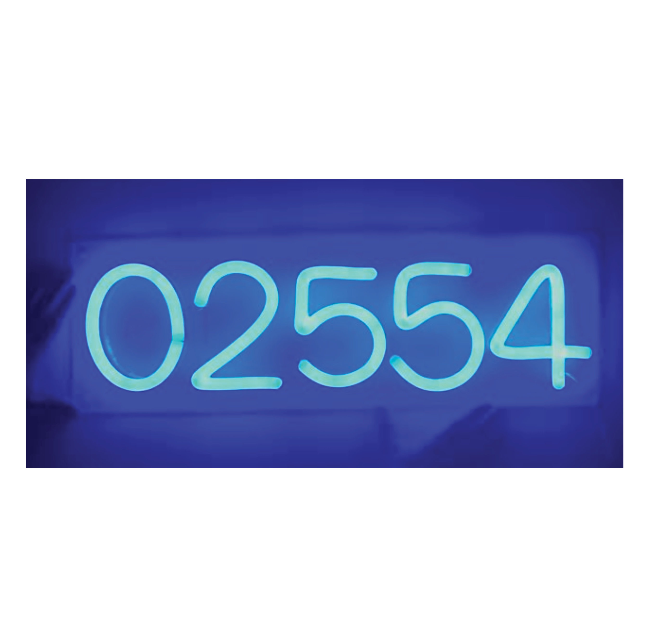 02554neon.jpg
