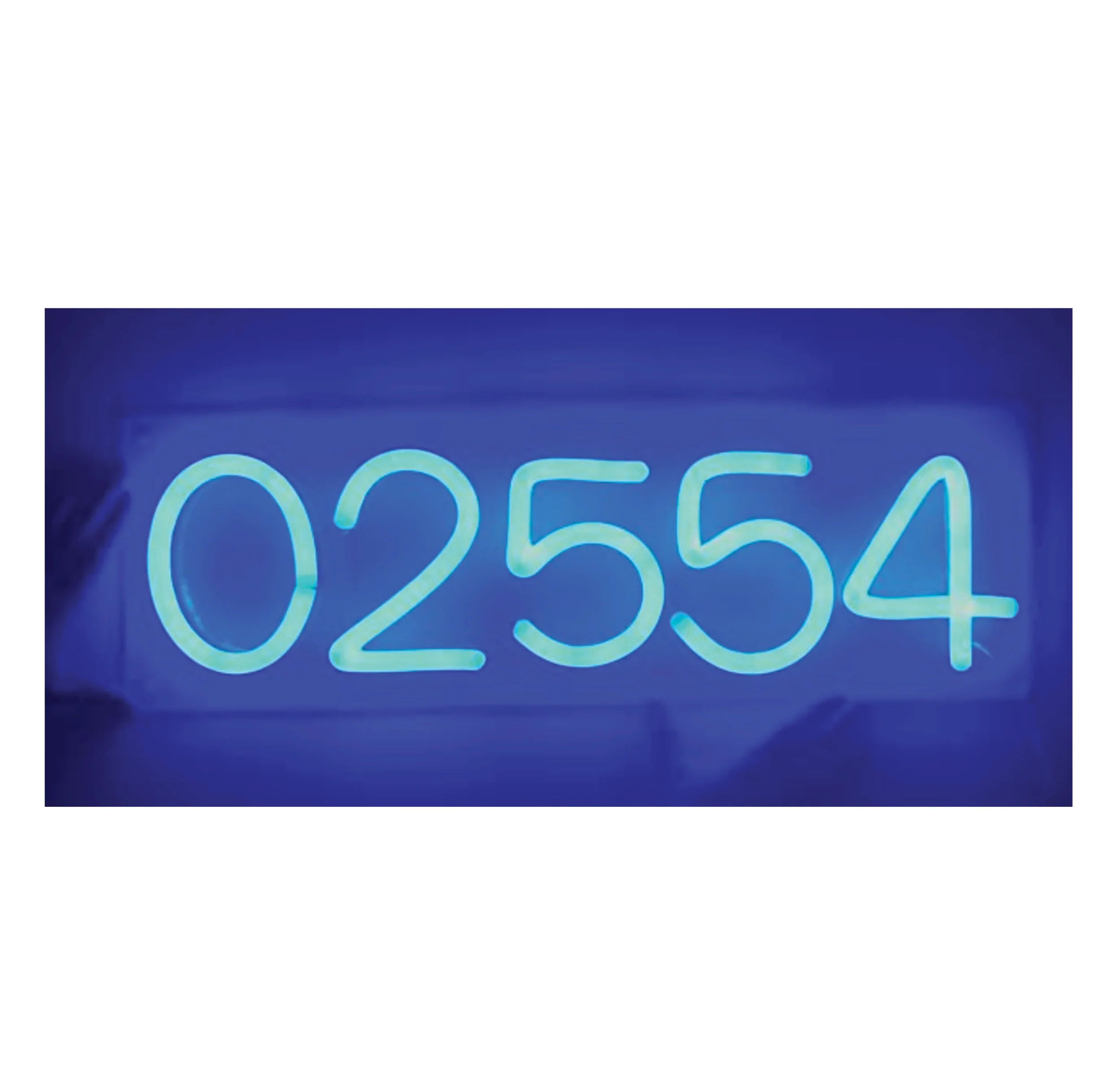 02554neon.jpg