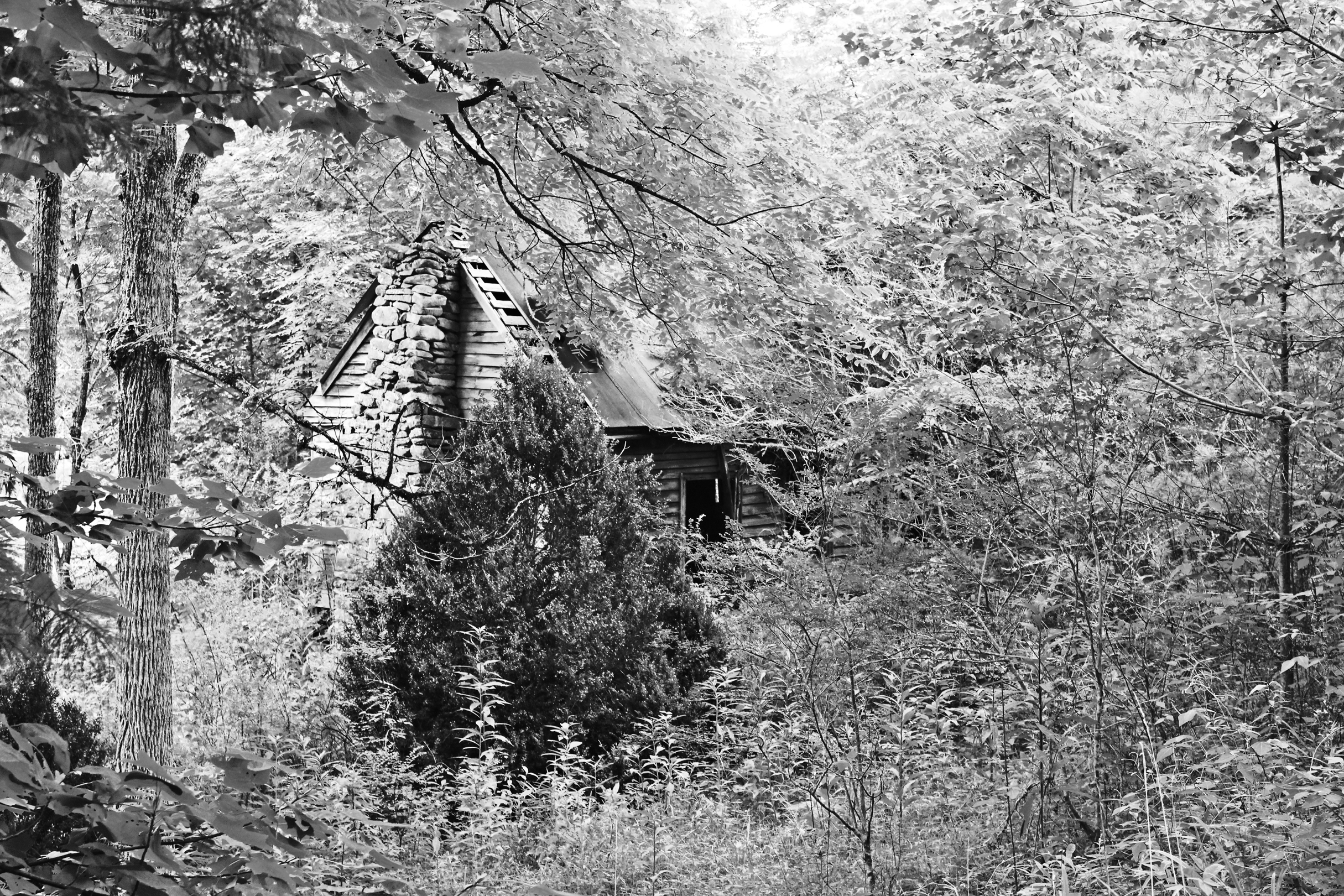    Cabin in the Woods  , North Georgia, 2014. B&amp;W HDR digital image. 