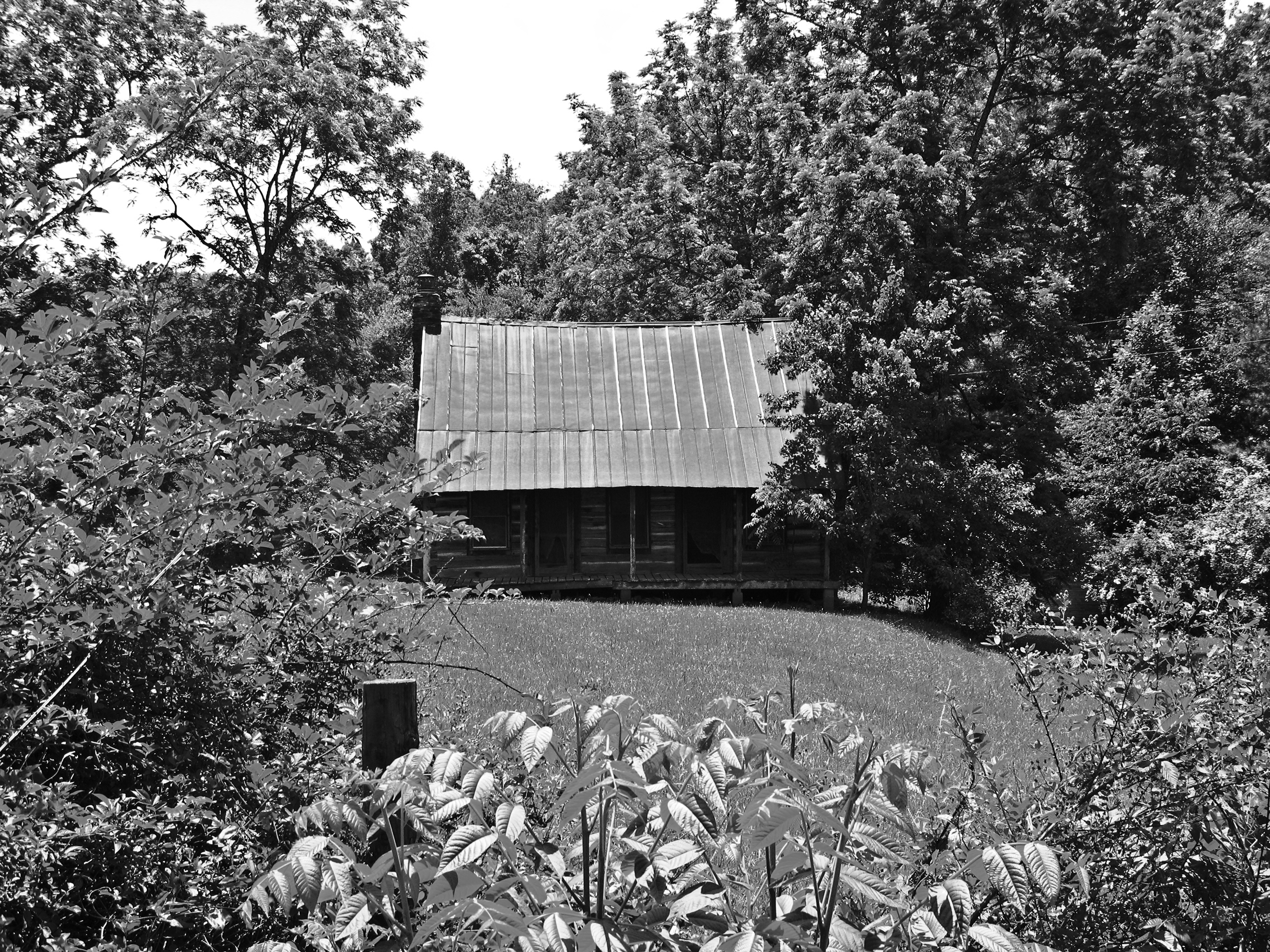    Civil War Cabin  , Fannin County, GA, 2013. B&amp;W HDR digital image. 
