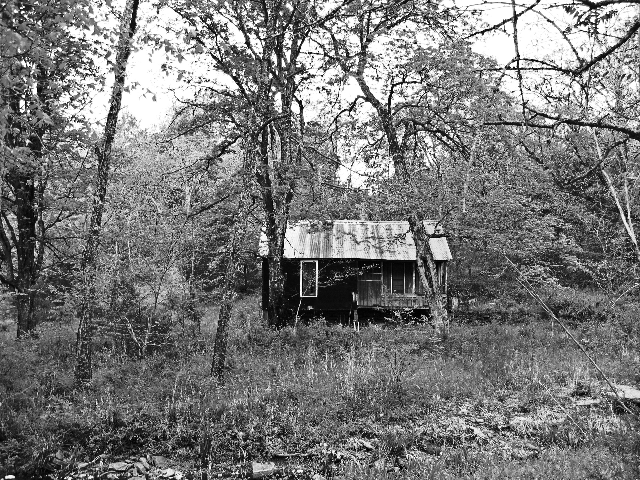    Old Home Place,   Thorney, AR, 2012. B&amp;W HDR digital image. 