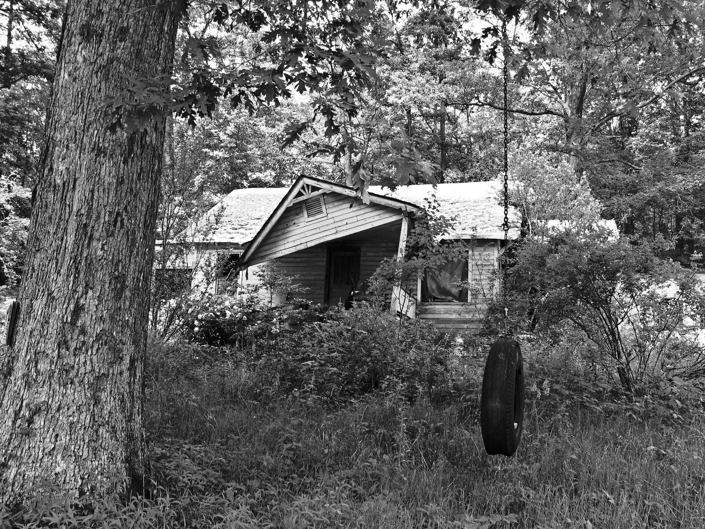    House with Tire&nbsp;Swing  , Fannin County, GA, 2013. B&amp;W HDR digital image. 