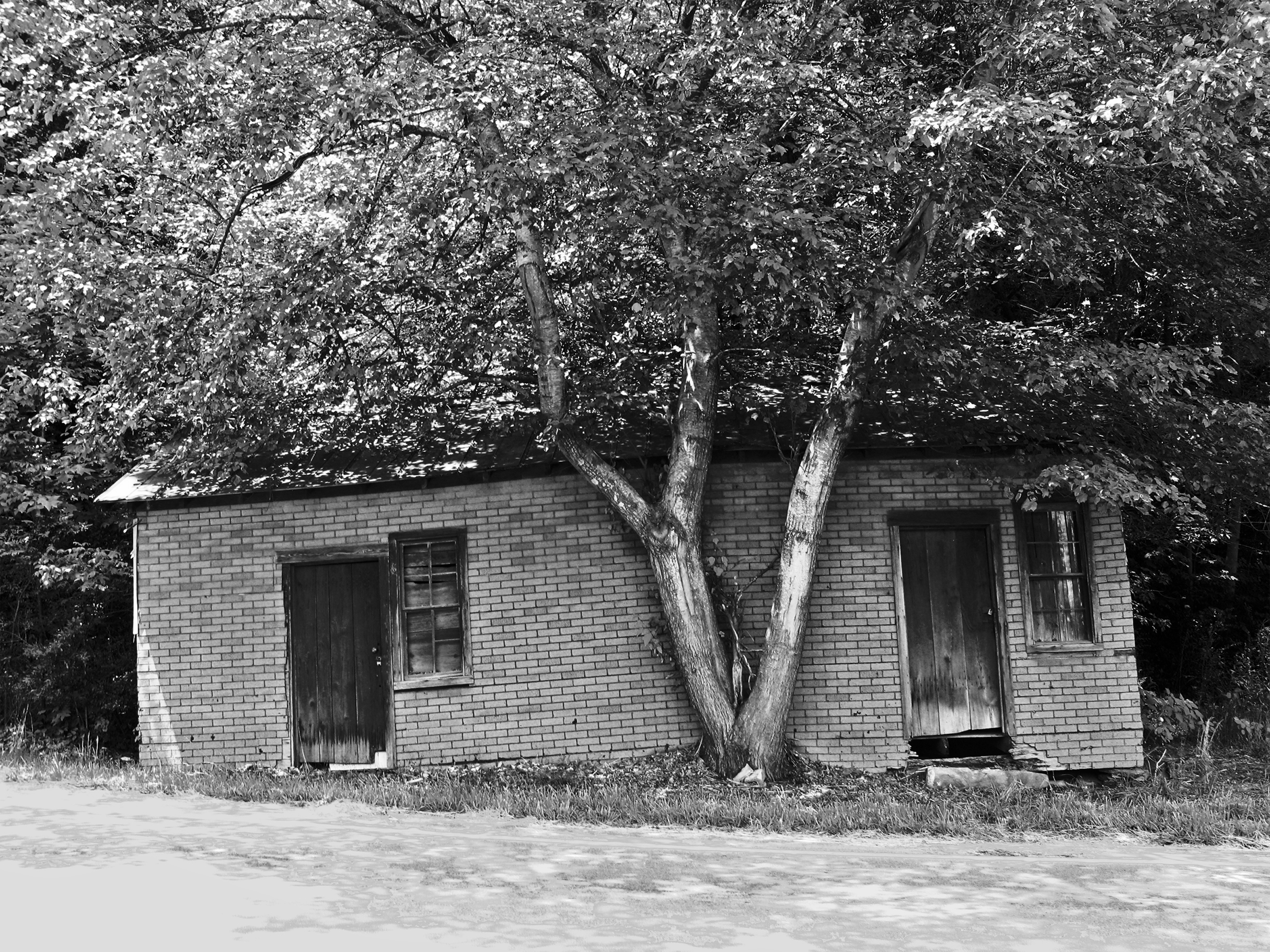    Tree House  , Fannin County, GA, 2013. B&amp;W HDR digital image. 