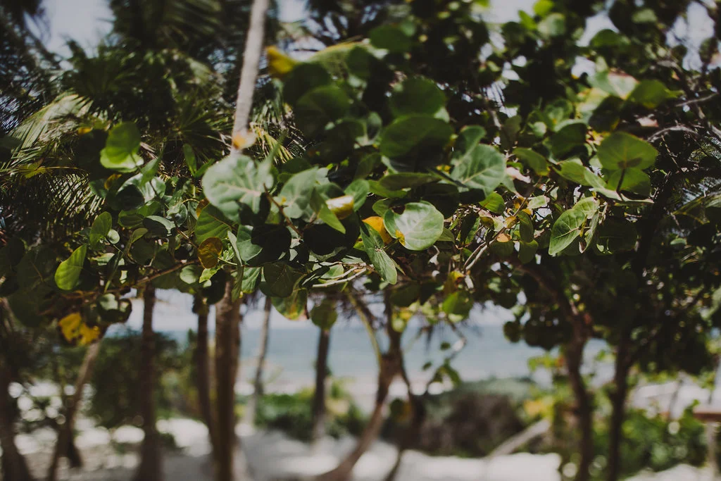 sanaratulumweddingplannerphotographerluxuryingigodestinationbohemianweddingchellisemichaelphotography2806.JPG
