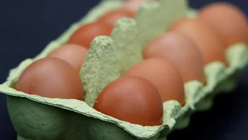 oeufs du super marché 