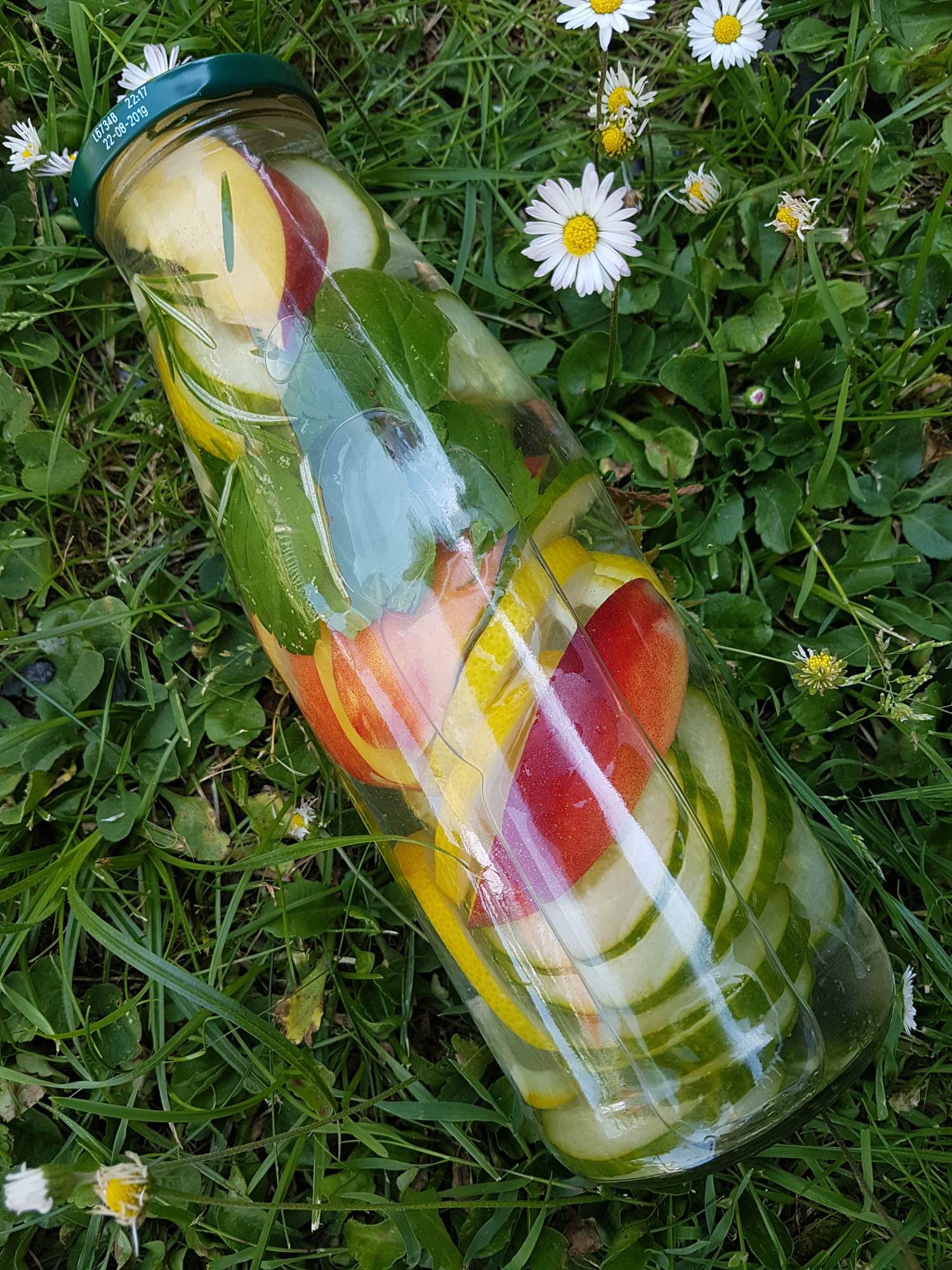 Concombre, citron, menthe, thym, romarin