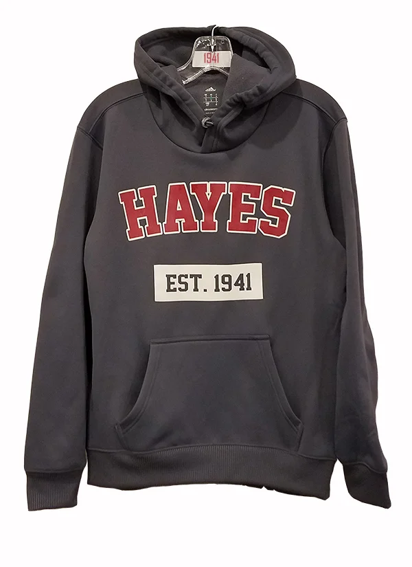 grey hoodie.jpg