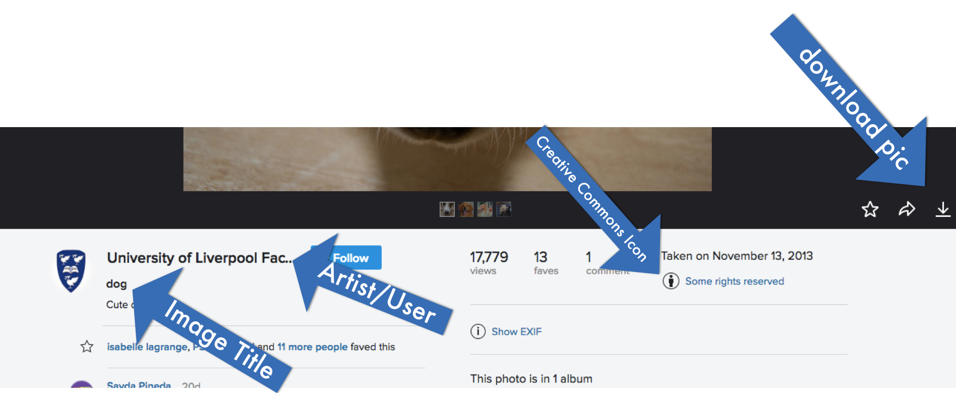 flickr.png