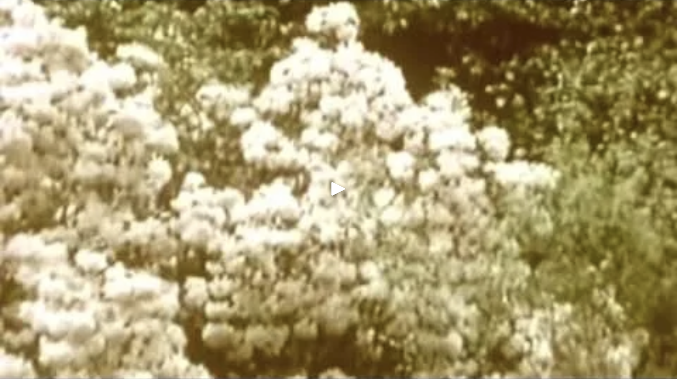 Screenshot 2026-03-11 at 1.41.50 PM.png