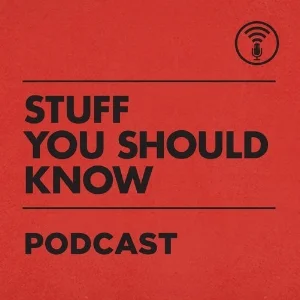 static.megaphone.fm%2Fpodcasts%2F1e705dd4-2de6-11e8-b55d-9ba6ddb3f75e%2Fimage%2Fuploads_2F1521732699052-l46bxmk0qkc-071bfd4afd80223fcb2b944c07c0f97e_2Fsysk-audio-1600.jpg