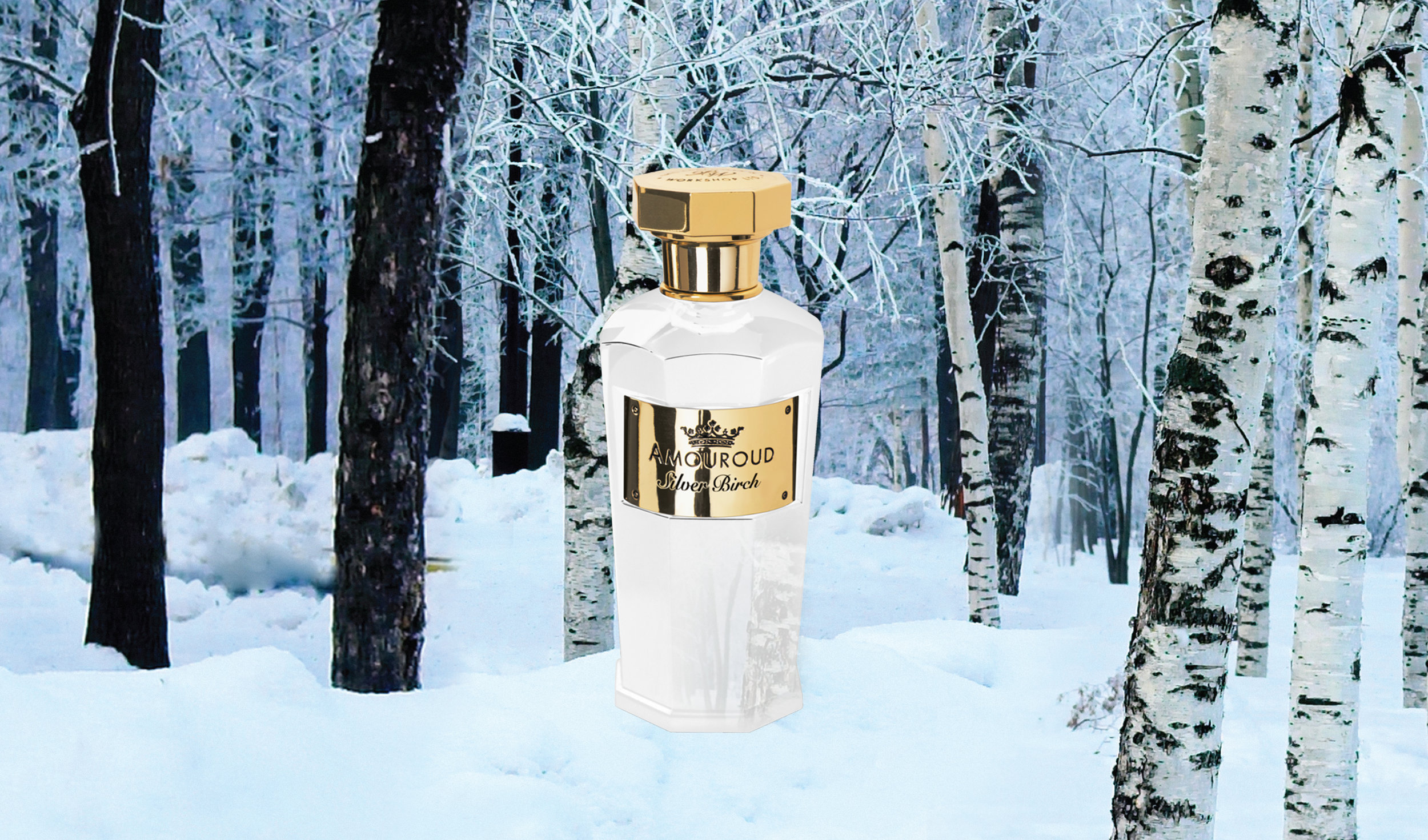 Silver Birch Website.jpg