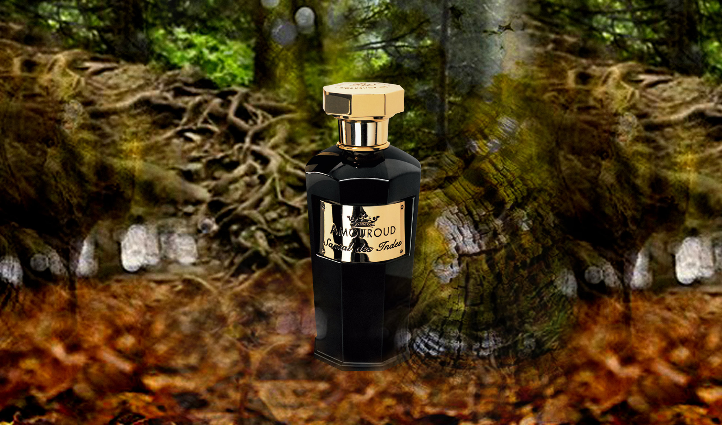 Santal des Indes Website.jpg