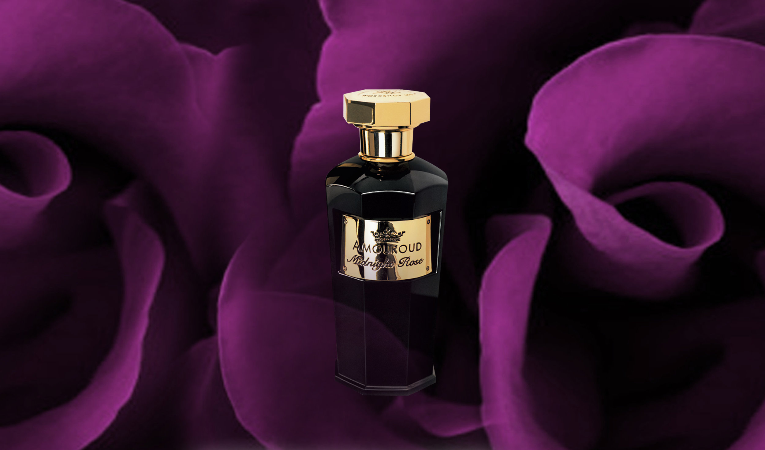 Midnight Rose website.jpg