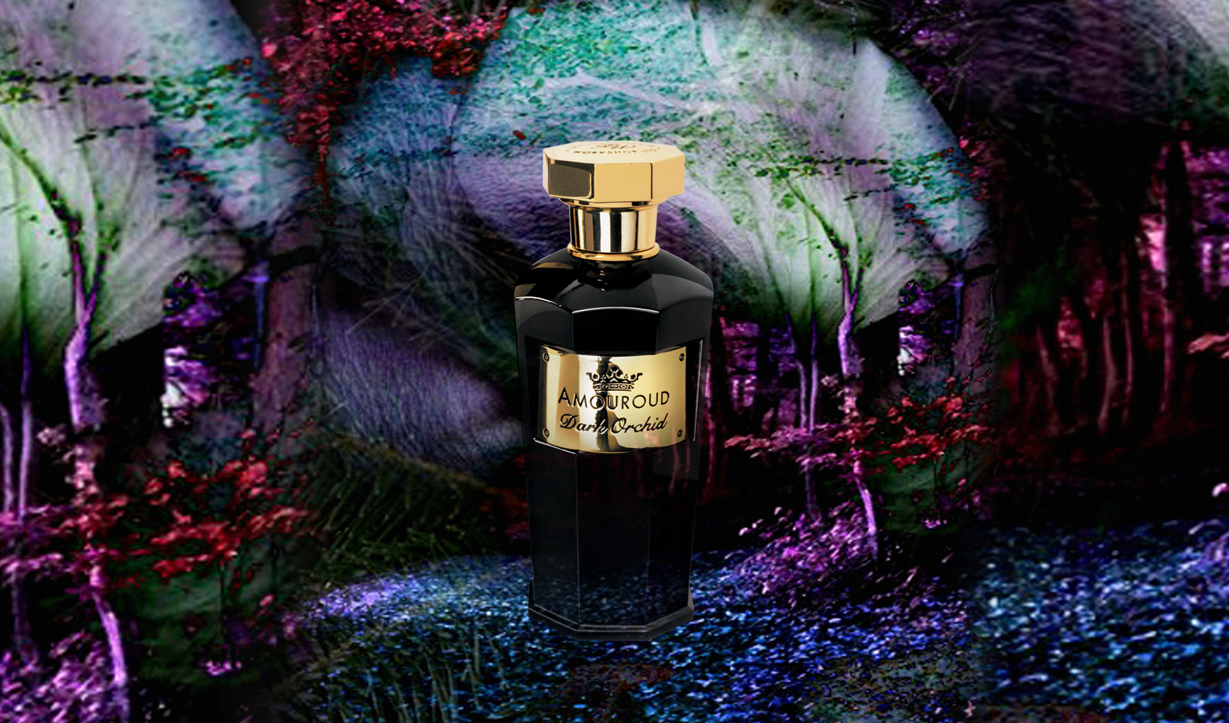 Dark Orchid Website.jpg