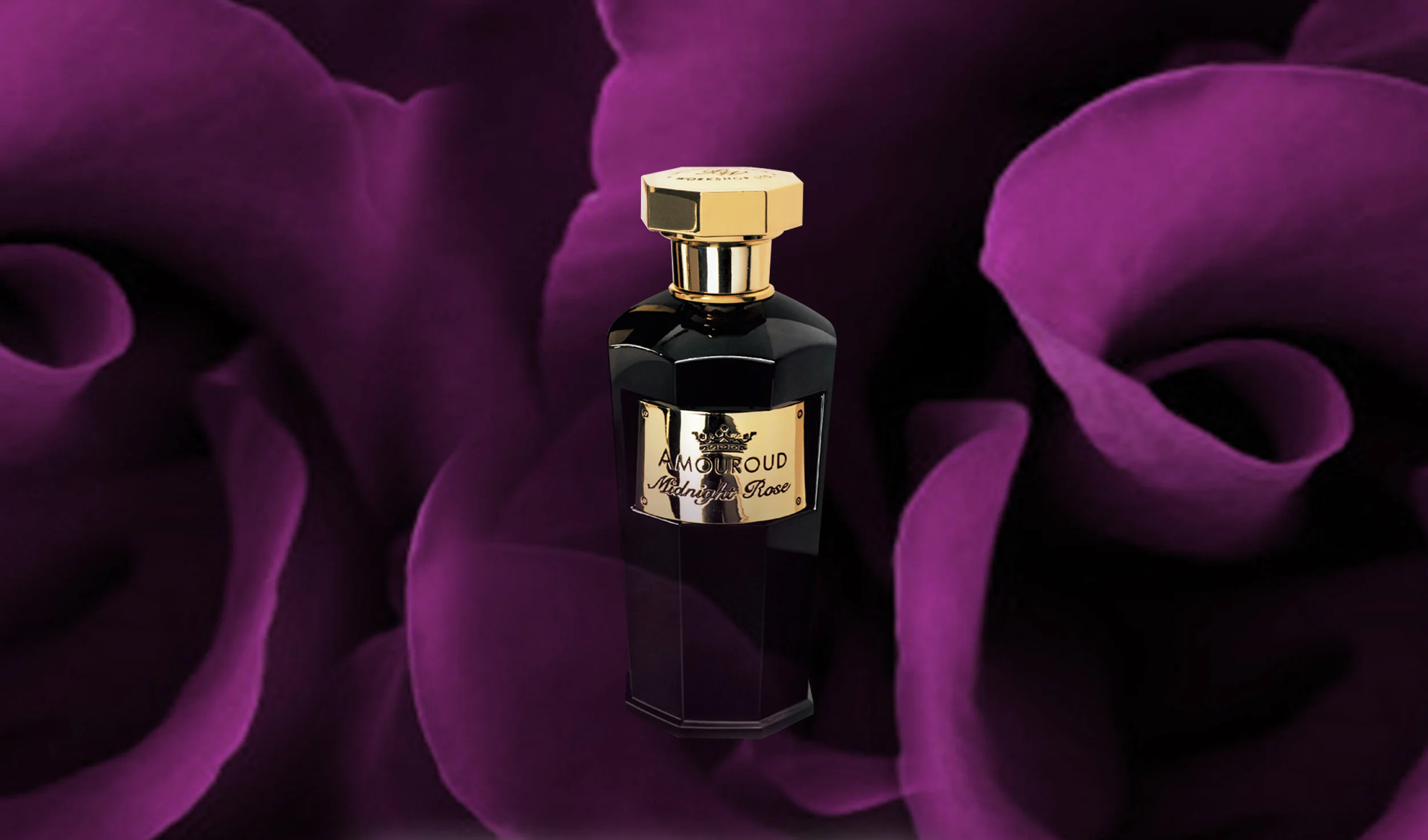 Midnight Rose website.jpg
