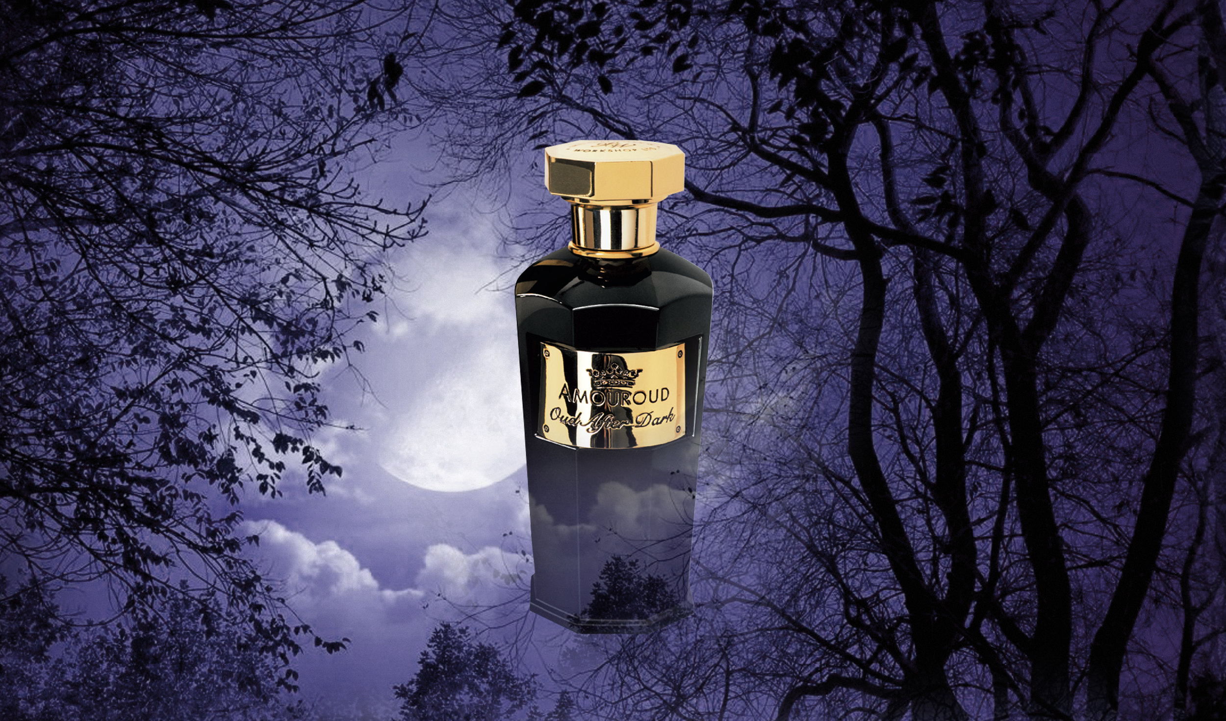 Oud After Dark website.jpg