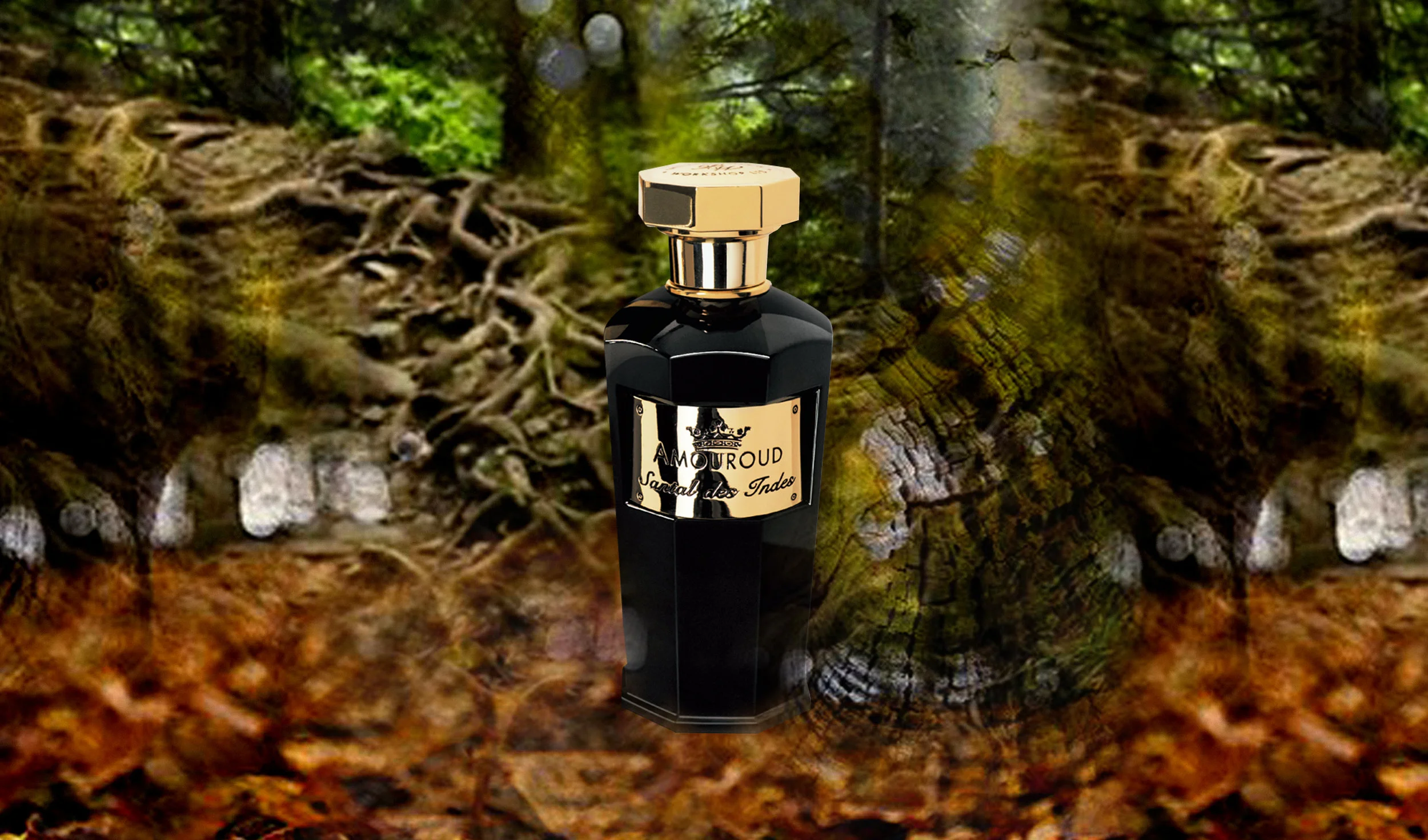Santal des Indes Website.jpg