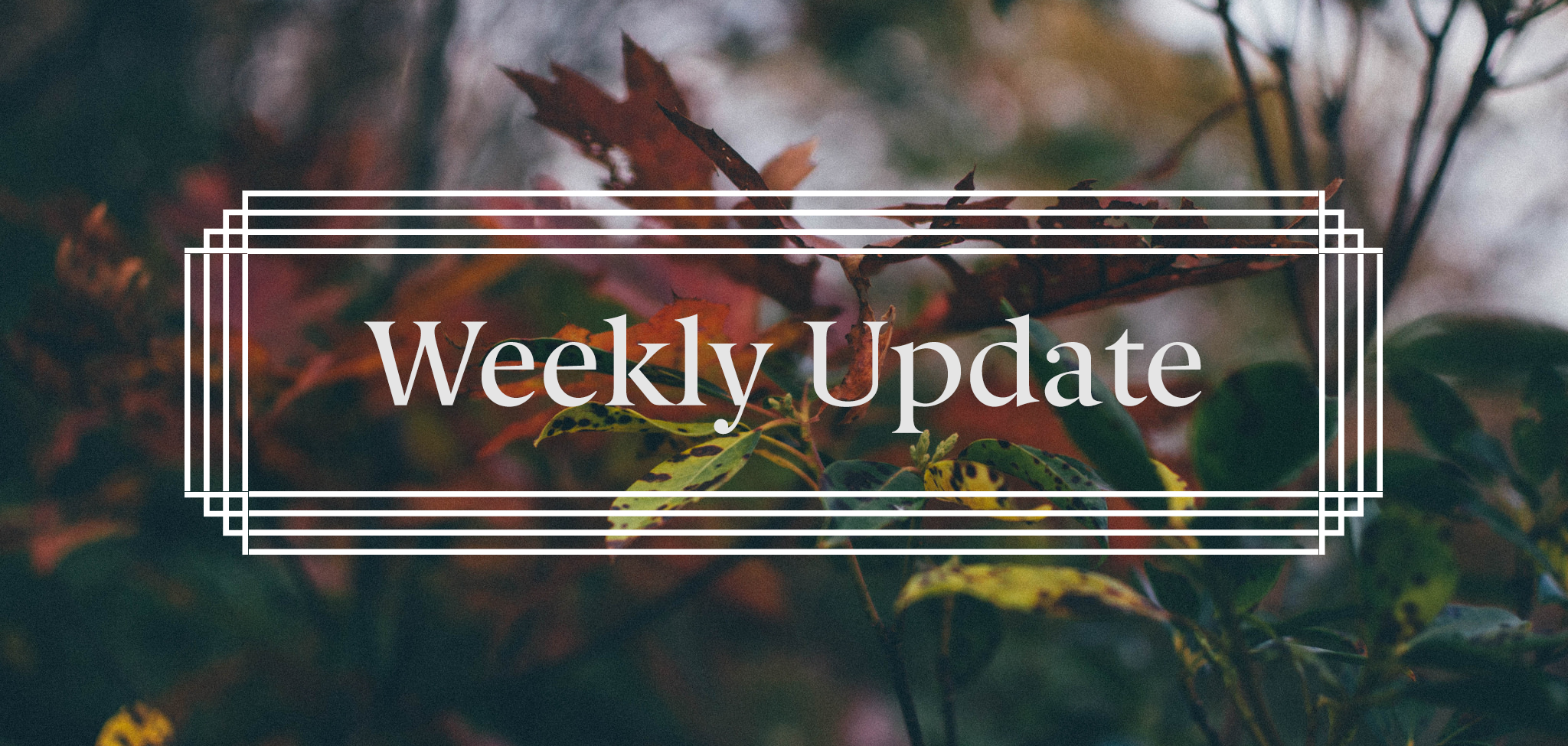 WeeklyUpdate_Fall.png