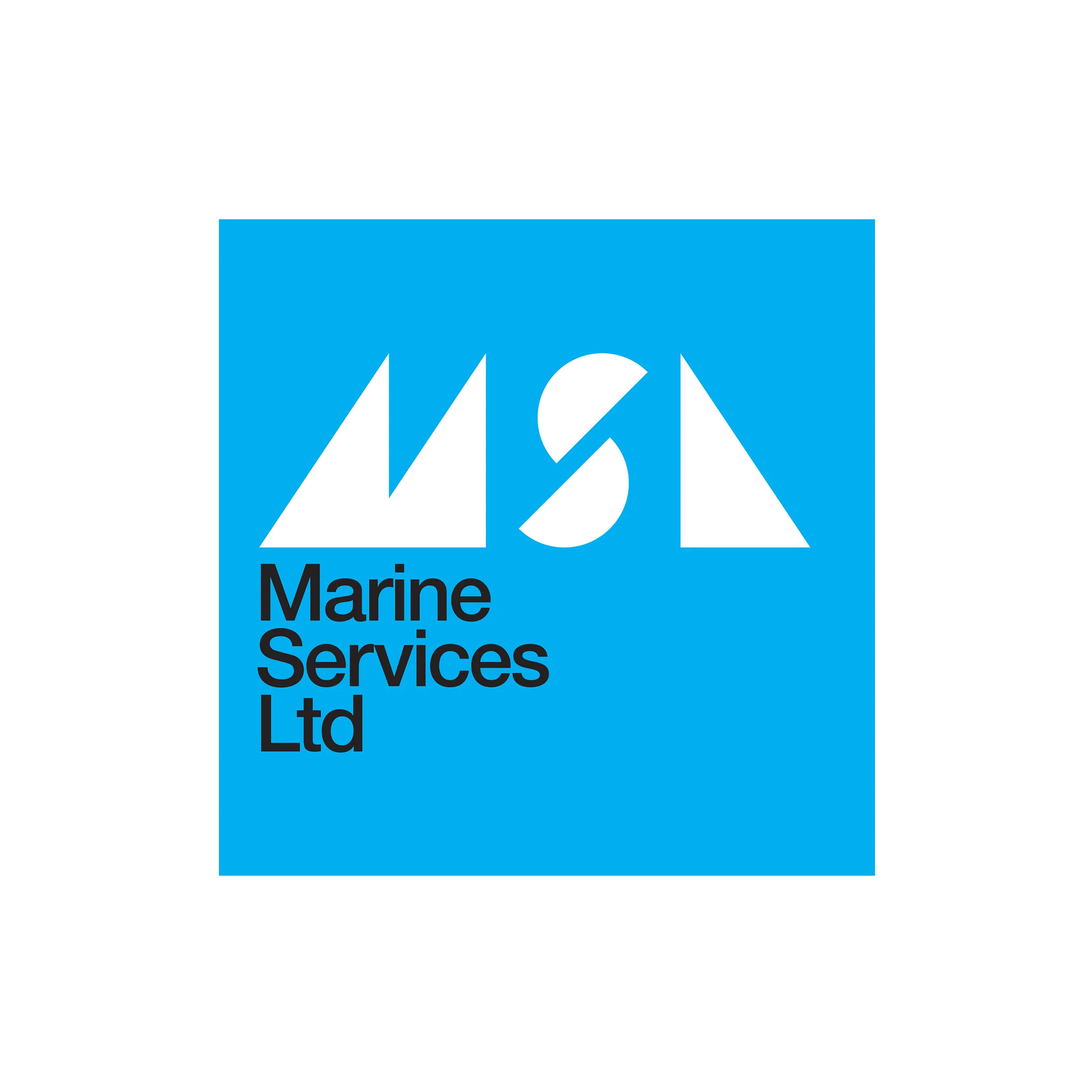 masl cyan white space.jpg