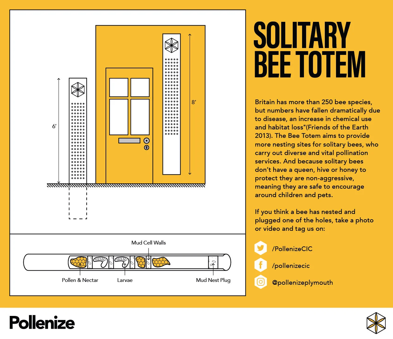 solitary bee totem apr20 web-05.jpg