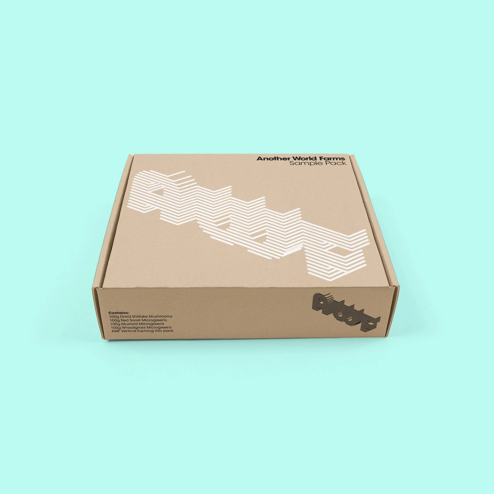 AWF concept 3 mockup.jpg