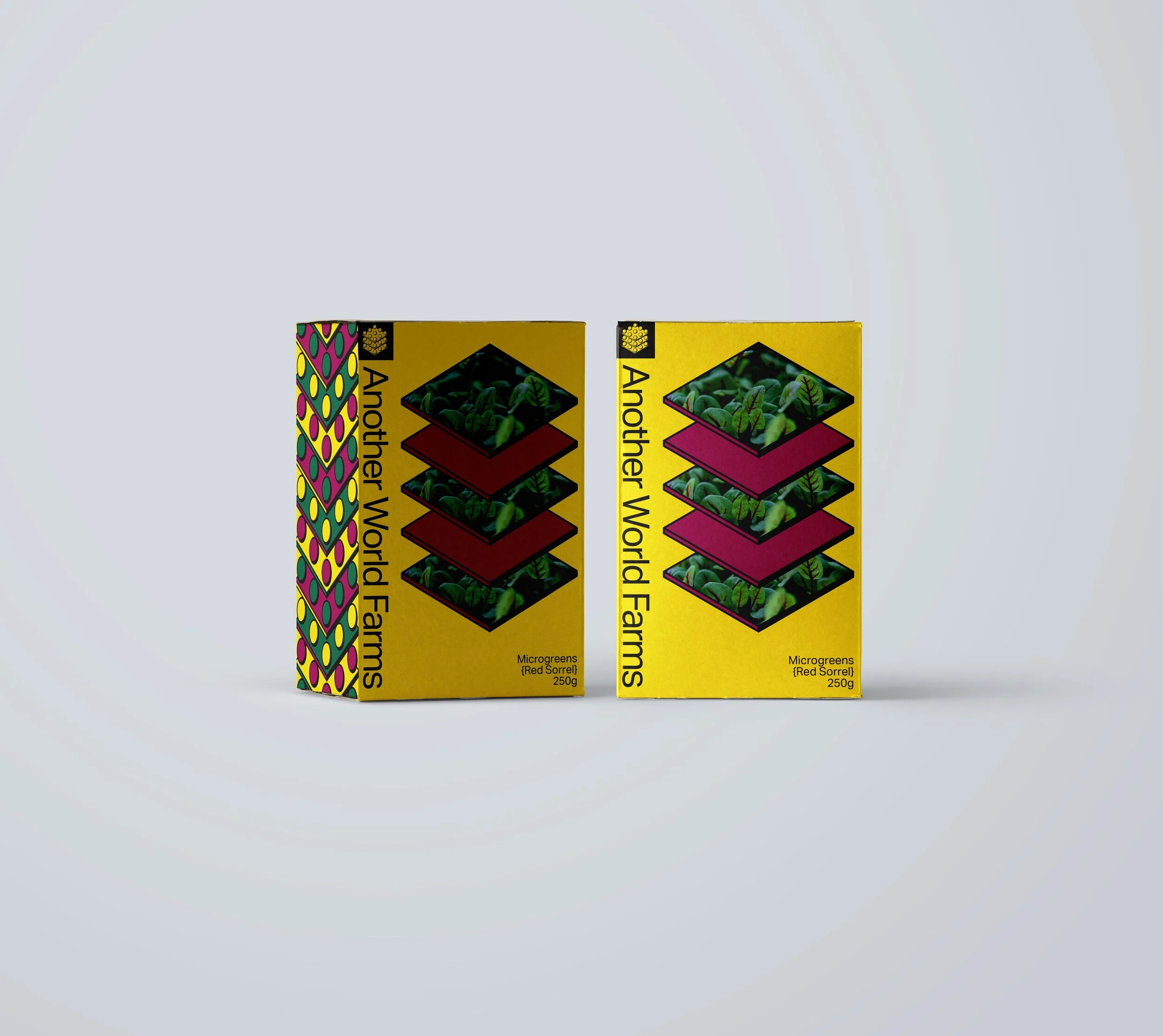 AWF concept 2 mockup.jpg