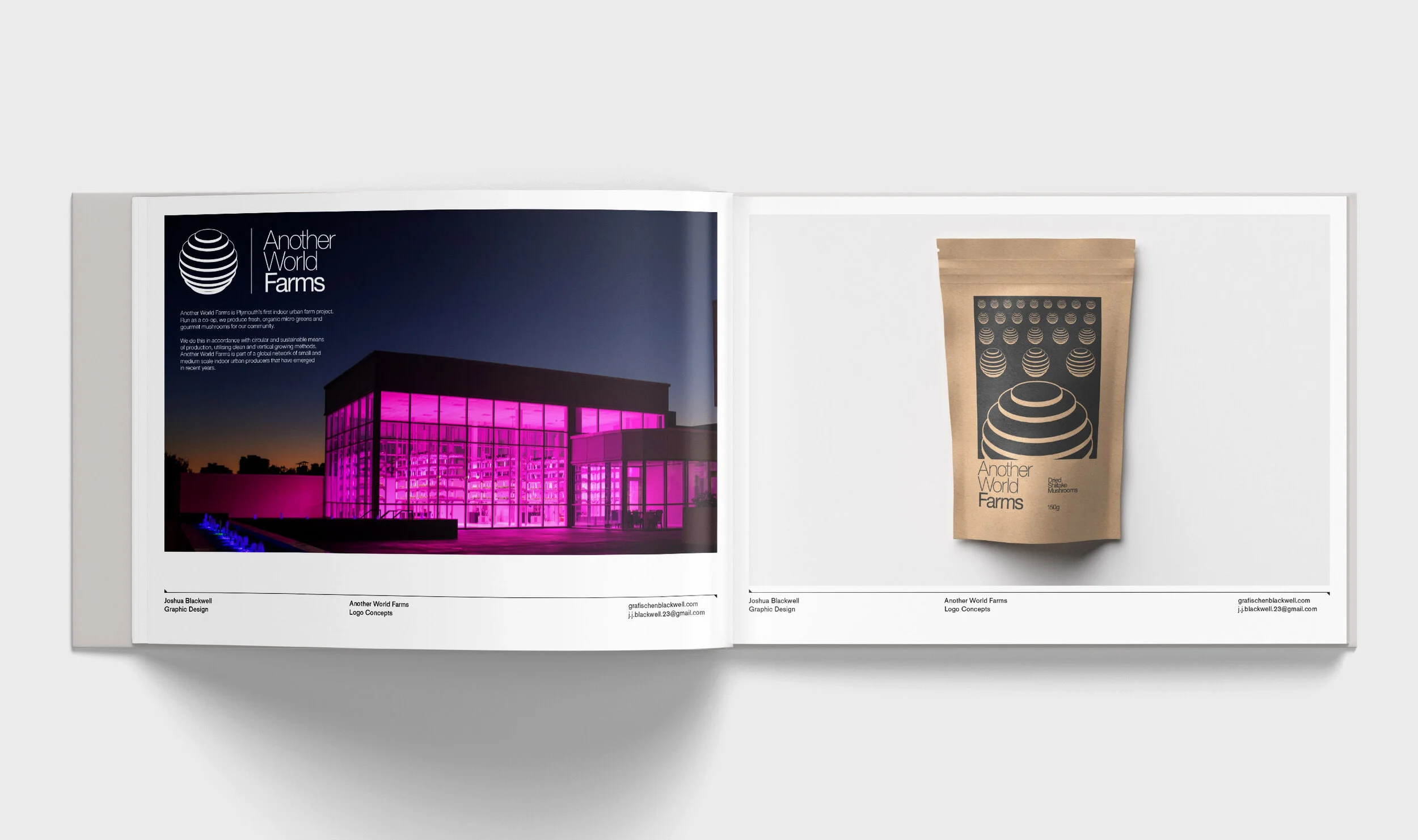 AWF book mockup pg2.jpg