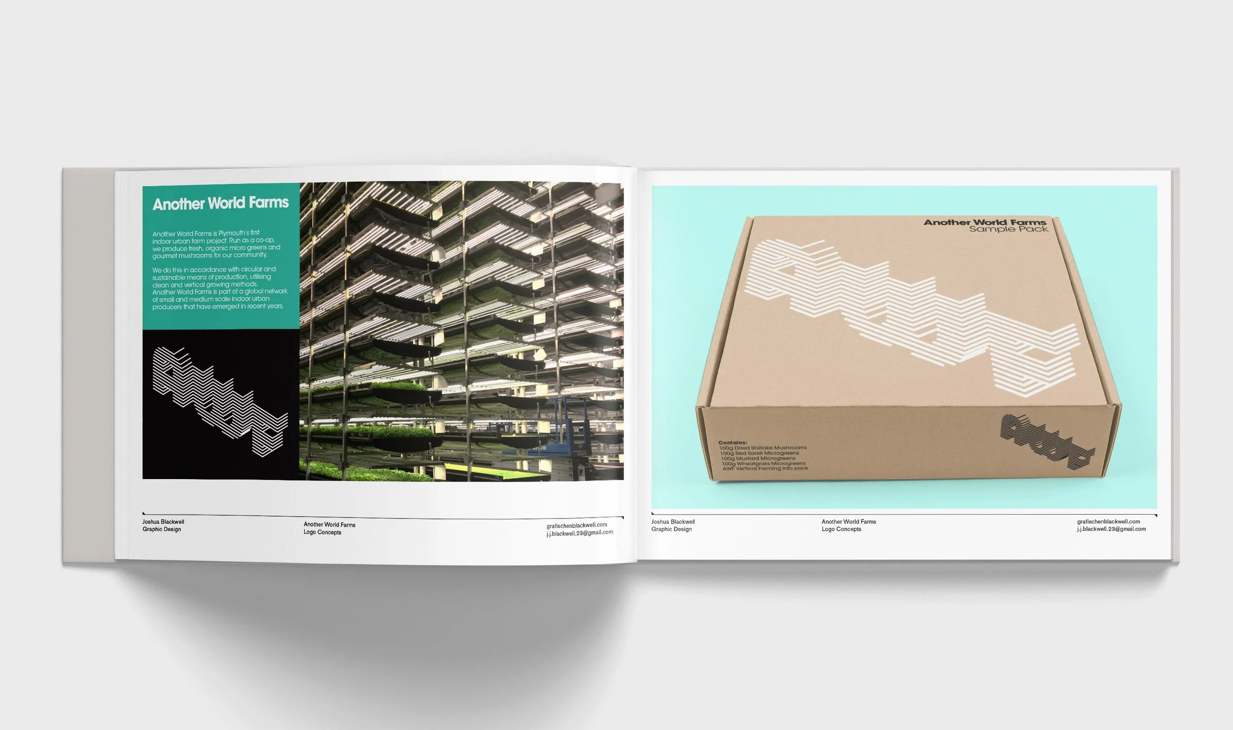 AWF book mockup pg6.jpg