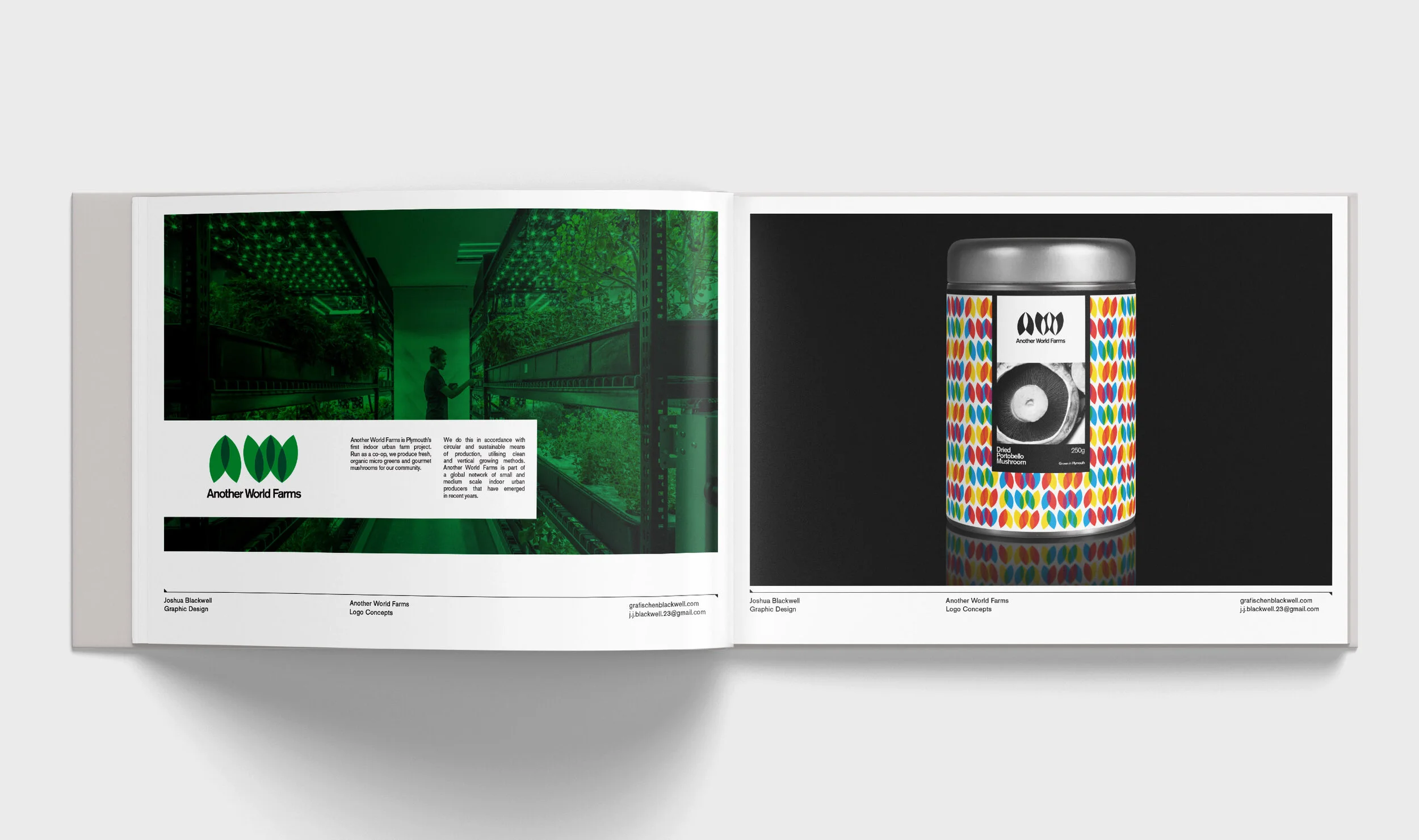 AWF book mockup pg8.jpg