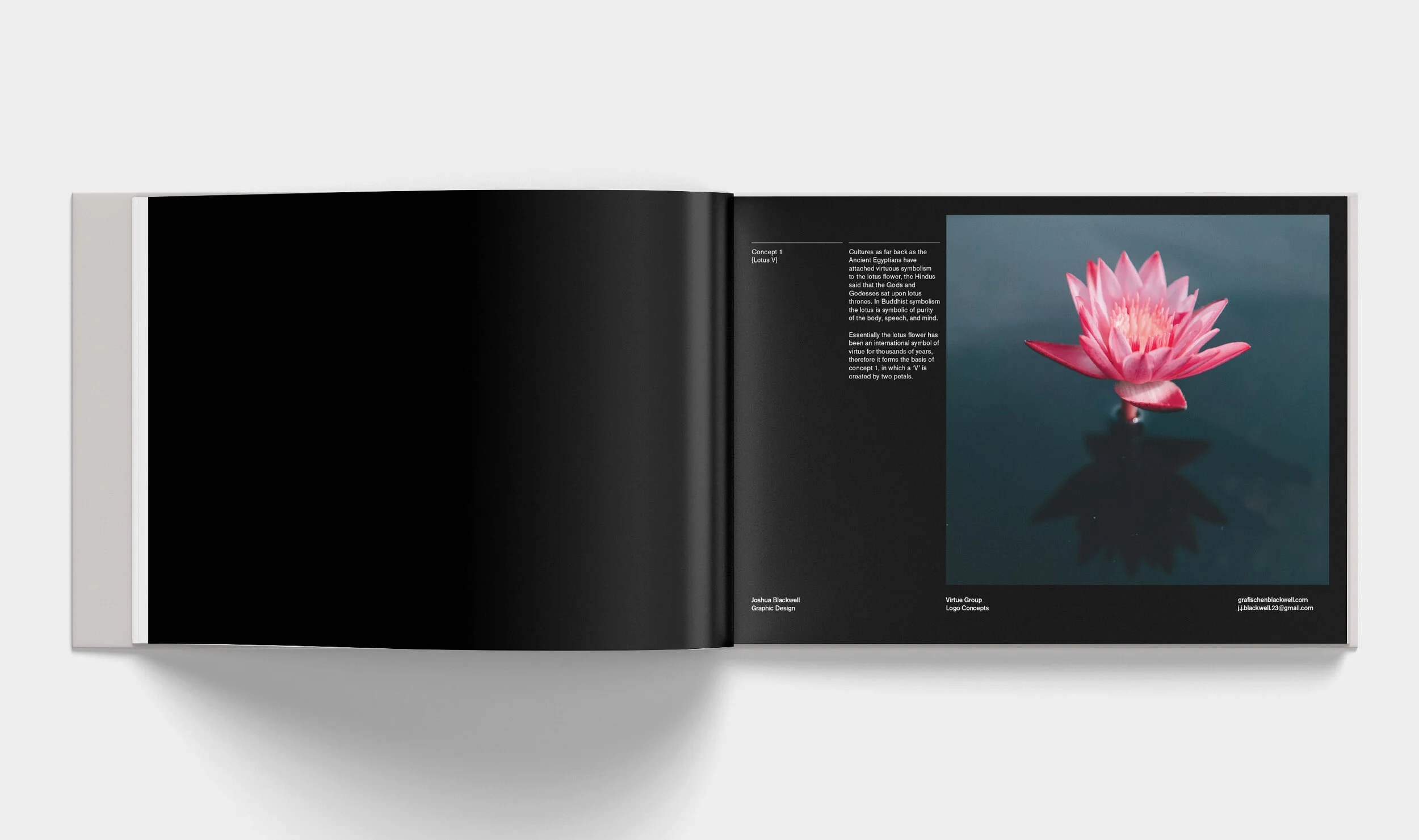 virtue group logo concept book pg1.jpg