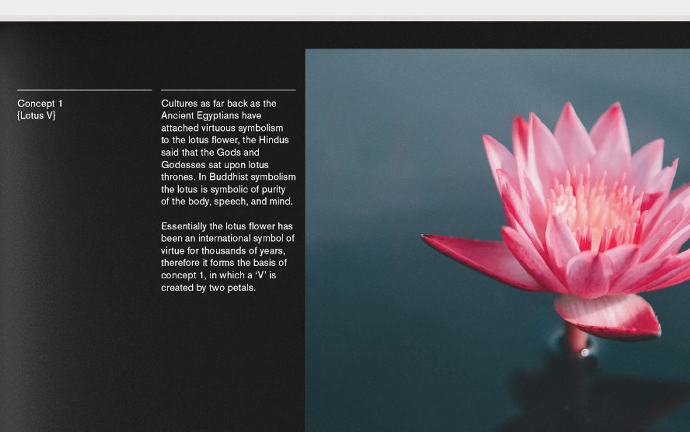 concept 1 detail b.jpg